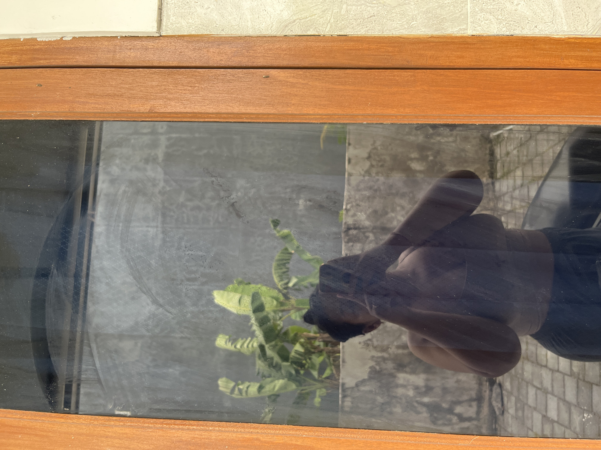 A reflection in a dirty glass door shows a person taking a selfie. The person is wearing a tank top and shorts. In the background, there are banana trees and a concrete wall. The scene appears to be outdoors, possibly in a courtyard or garden. The wooden frame of the door is visible on the right side of the image.
