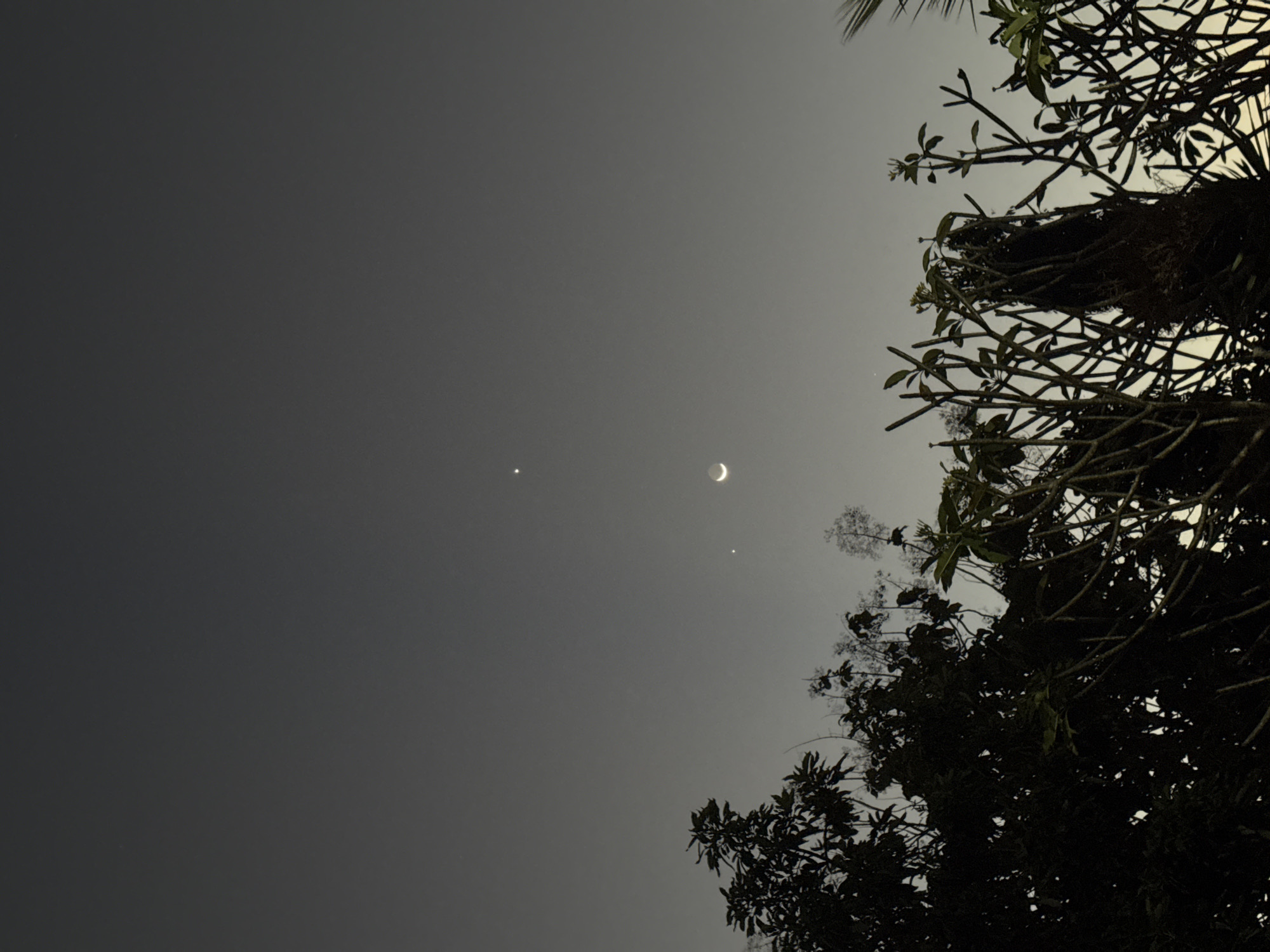 This is a nighttime photograph of the sky above Kuta Selatan, Indonesia, with silhouettes of trees in the foreground. The sky is a muted gradient of gray, with a faint crescent moon visible slightly to the right of center. Two bright stars or planets are also present in the sky: one positioned directly above the moon and another above and to the left of it. The trees in the foreground are dark and their branches are silhouetted against the lighter sky, obscuring any view of the ground or buildings. The image appears to be taken from a residential or natural area given the presence of trees.