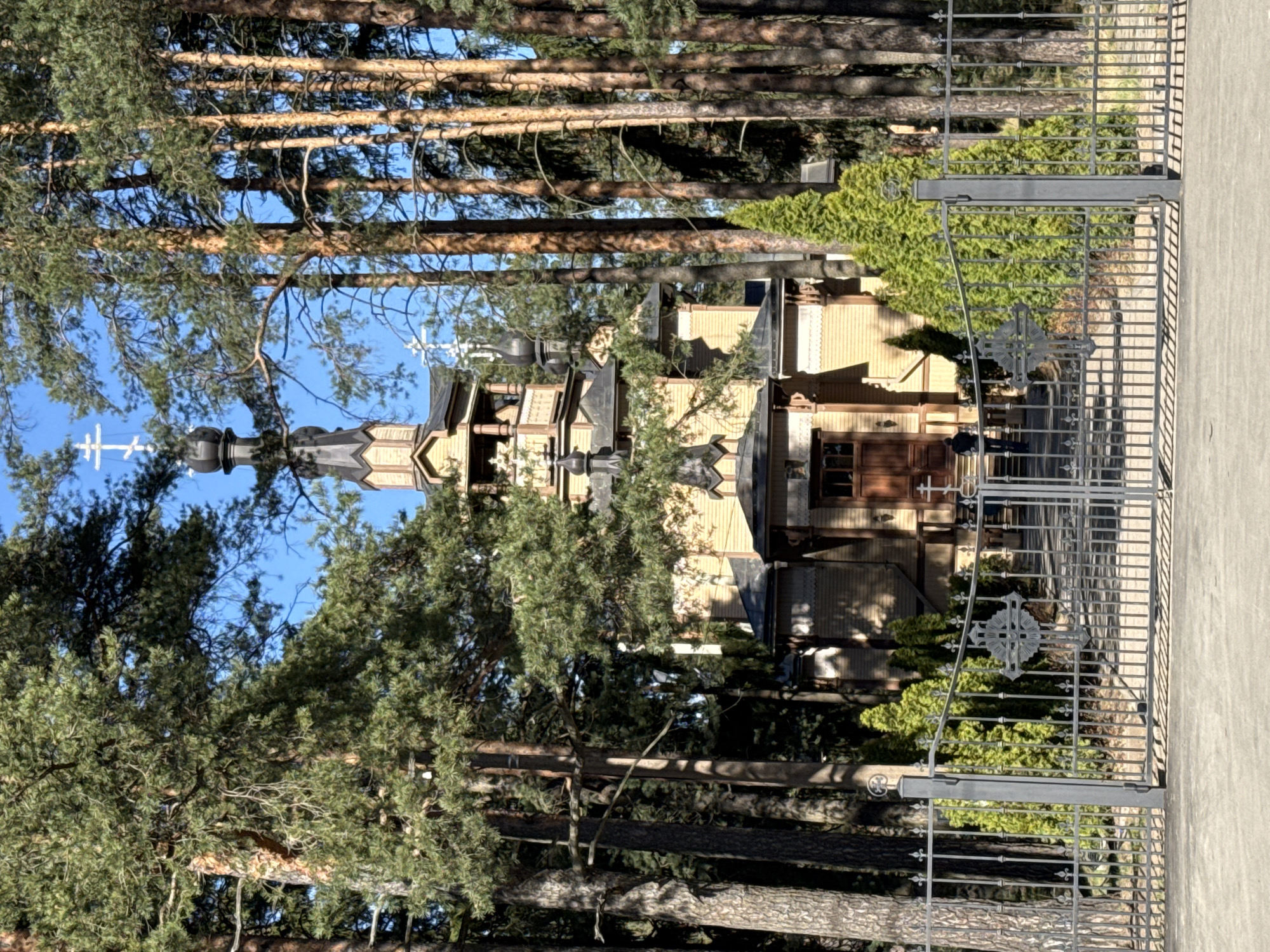 The image captures a side view of a Russian Orthodox wooden church, partially obscured by pine trees, situated in Pesochny, Russia. The church features tiered architecture with a central dome and several smaller cupolas, each topped with Orthodox crosses. The building is constructed primarily of wood, with a light brown exterior. In the foreground, a metal fence with decorative crosses blocks the view. The setting is a forest of tall pine trees, some of which frame the church and fence. The sky is visible through the trees. One or two people can be seen standing outside the building.