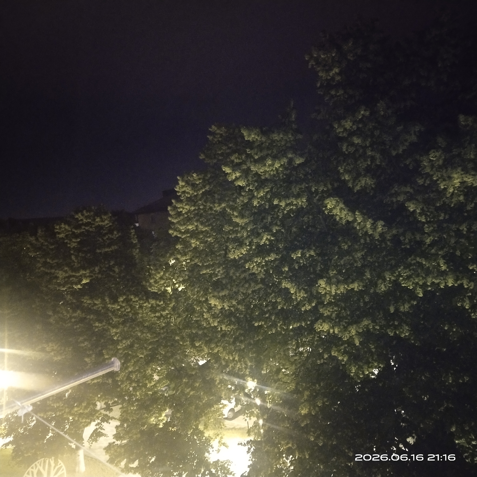 The image is a night photograph taken outdoors, likely in Cherkessk, Russia, given the timestamp "2026.06.16 21:16". The scene is dominated by a large tree with dense foliage, illuminated by artificial light sources, creating a dappled effect. In the background, a building with a dark roof is partially visible through the trees. A street light fixture is prominent in the lower left portion of the frame, emitting a bright glow that extends upwards and across the image. Some structures, possibly part of a fence or railing, are also visible near the street light. The sky is dark, indicating nighttime. No people are visible in the image.