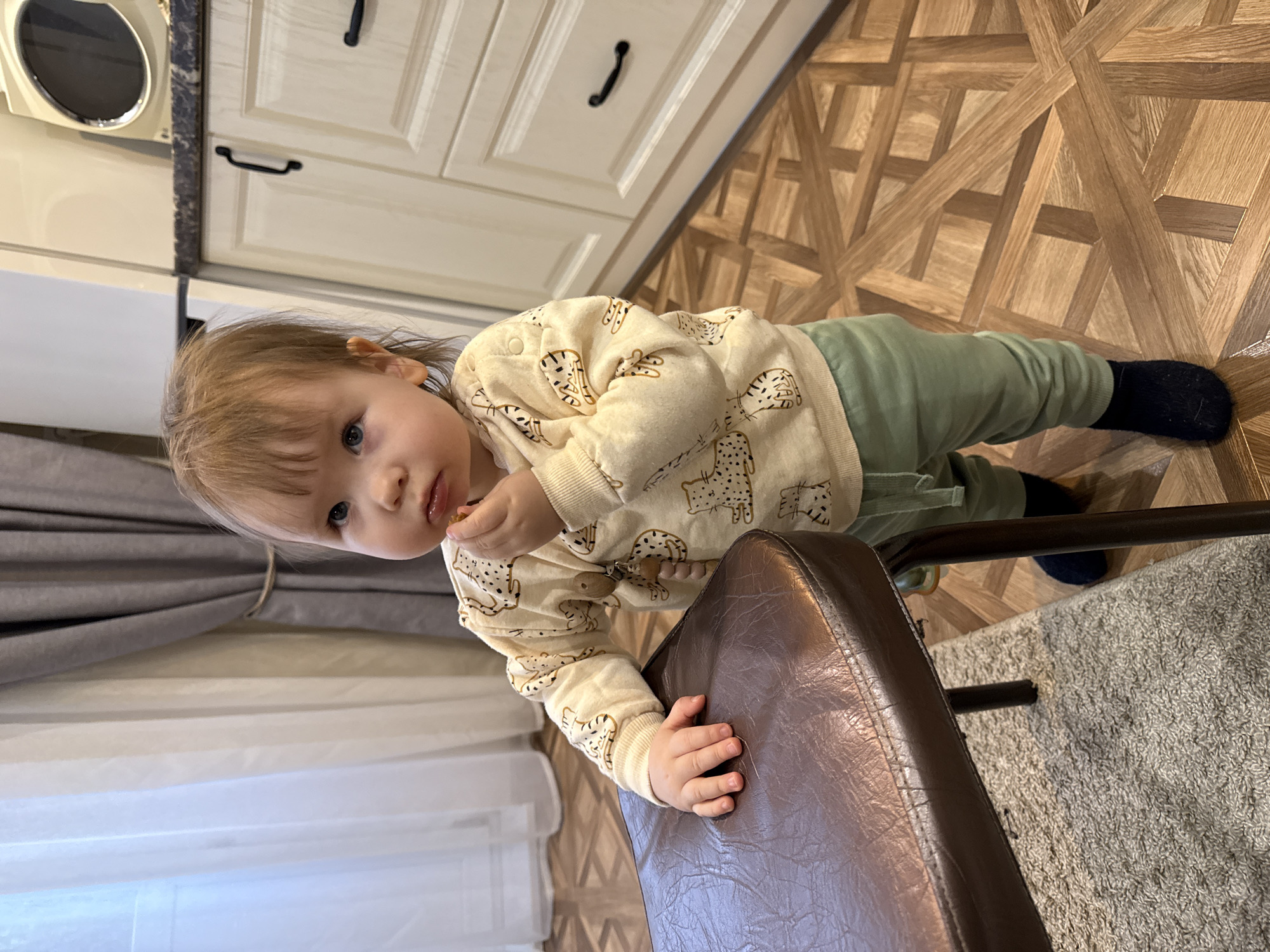A young child, likely a toddler, is captured standing indoors, looking directly at the camera. The child has light brown hair and blue eyes, wearing a light-colored sweatshirt adorned with animal (possibly leopard or cheetah) print, green pants, and dark socks. A pacifier clip is visible on their shirt. They are holding onto the back of a dark brown, possibly leather or faux leather, chair for support. In their right hand, they hold a small, light-colored object, which could be food or a toy.
The setting appears to be a domestic kitchen or dining area in Krapivka, Russia. In the background, there are light-colored kitchen cabinets with dark handles and a dark, mottled countertop. To the right, the floor features a distinctive geometric wooden parquet pattern. A light grey, shaggy rug is visible beneath the chair and extends further to the right. On the left side, grey and white layered curtains hang, suggesting a window or doorway nearby. The lighting suggests it is daytime. The child's expression is neutral and curious, indicating a candid moment. No visible text is present in the image.
