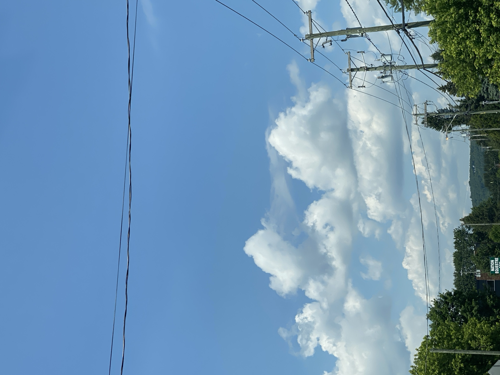 The image captures a bright, partly cloudy sky above a residential street in Saint-André-Avellin, Canada. Power lines crisscross the frame, supported by wooden utility poles. Lush green trees line the street, with one pole in the foreground bearing a green sign that reads "NATION ÉQUESTRE." The scene is devoid of people.