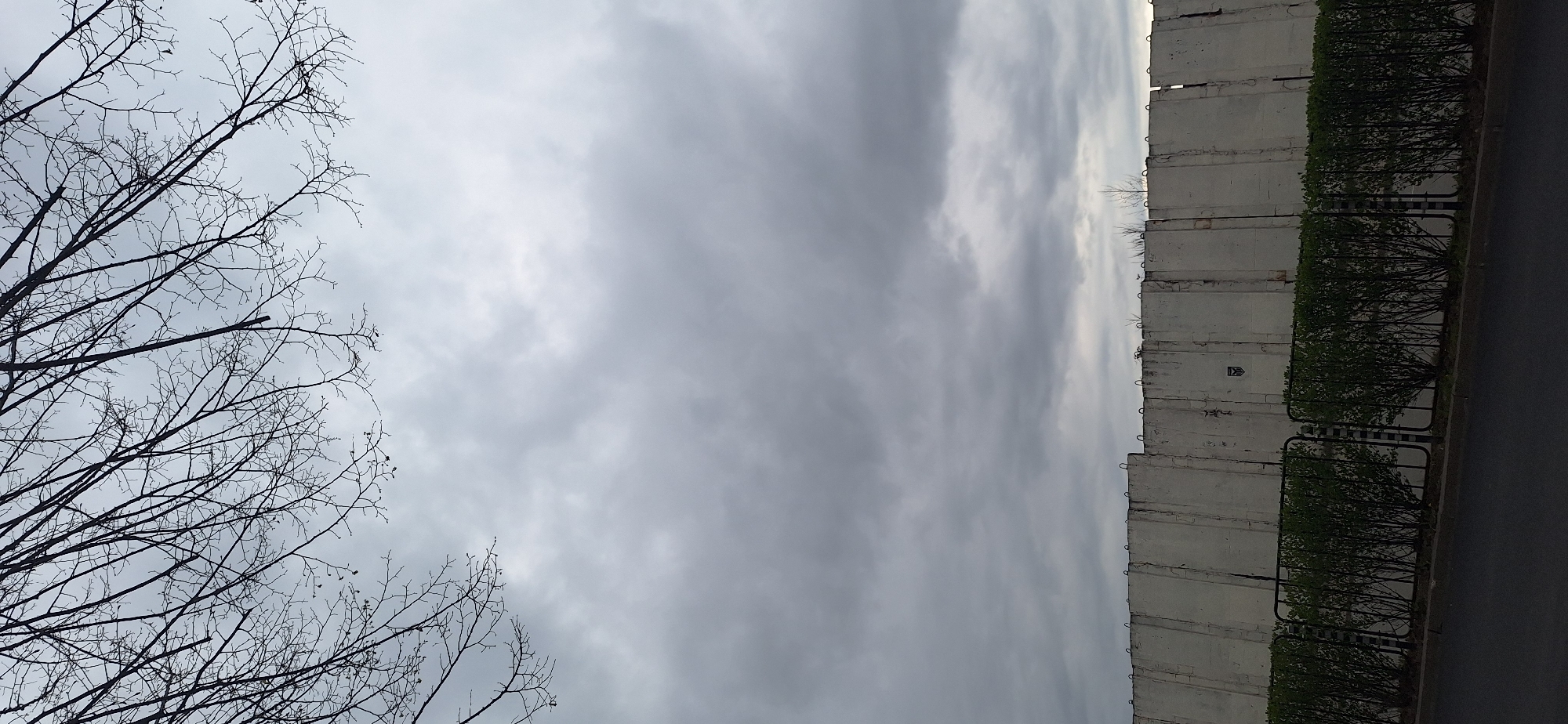 The image depicts a section of Blagoevgrad, Bulgaria, observed from an elevated position looking down. A gray sky fills the majority of the frame. Bare tree branches are visible in the lower left corner. To the right, a concrete wall runs vertically down the frame. A dark metal fence with green bushes behind it is aligned along the base of the wall. A paved road is seen to the right of the fence.