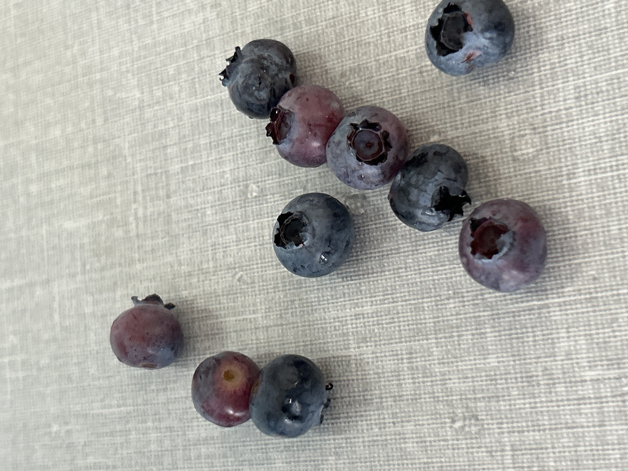 In an overhead shot, ten blueberries are scattered across a textured, light-colored surface. The surface has a subtle grid pattern and appears to be a placemat or tablecloth. The blueberries vary in color from deep blue to a reddish-purple hue, with some showing a waxy bloom. Some of the blueberries have visible indentations or small stems. No people or specific city locations are visible in the image.