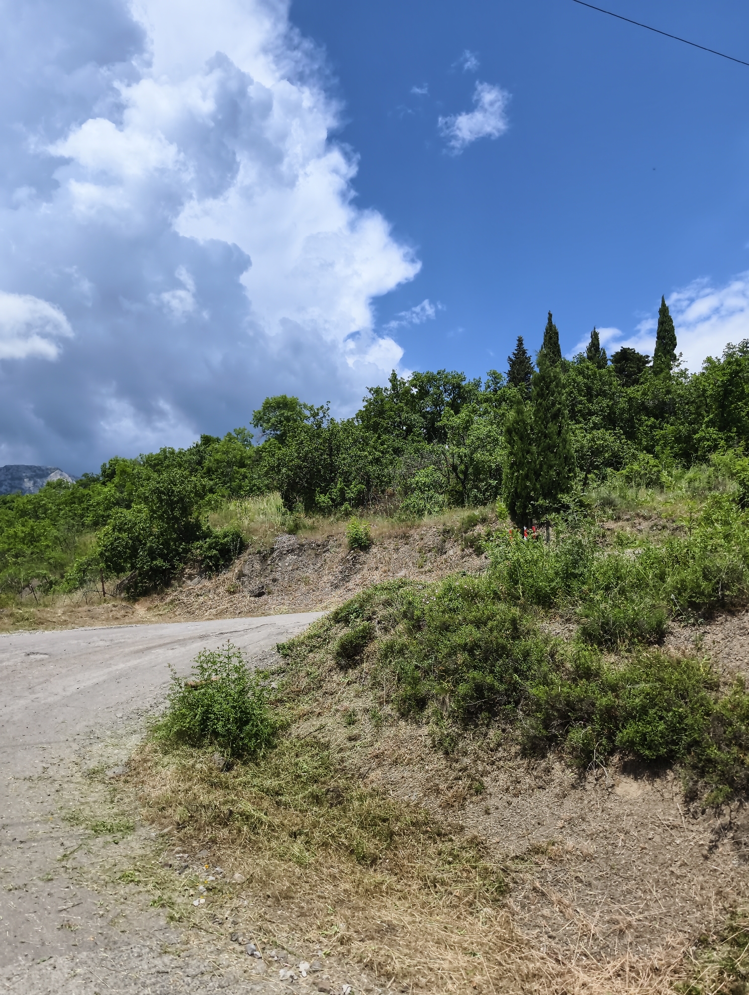 This is a vertical, eye-level, medium shot of a dirt road winding up a grassy hill on a sunny day. The road is on the left side of the frame, curving towards the top right. The hill is covered in dry grass and green shrubs, with a few trees scattered on the slope. In the background, there is a dense forest of green trees on top of the hill, with a few tall, slender cypress trees standing out. The sky is bright blue with fluffy white clouds and some darker, more ominous clouds in the upper left. A thin black wire runs across the top of the frame. The scene is likely located in Lazurnoe, Ukraine, as indicated by the landscape and vegetation typical of the region. There are no people or animals visible in the image.