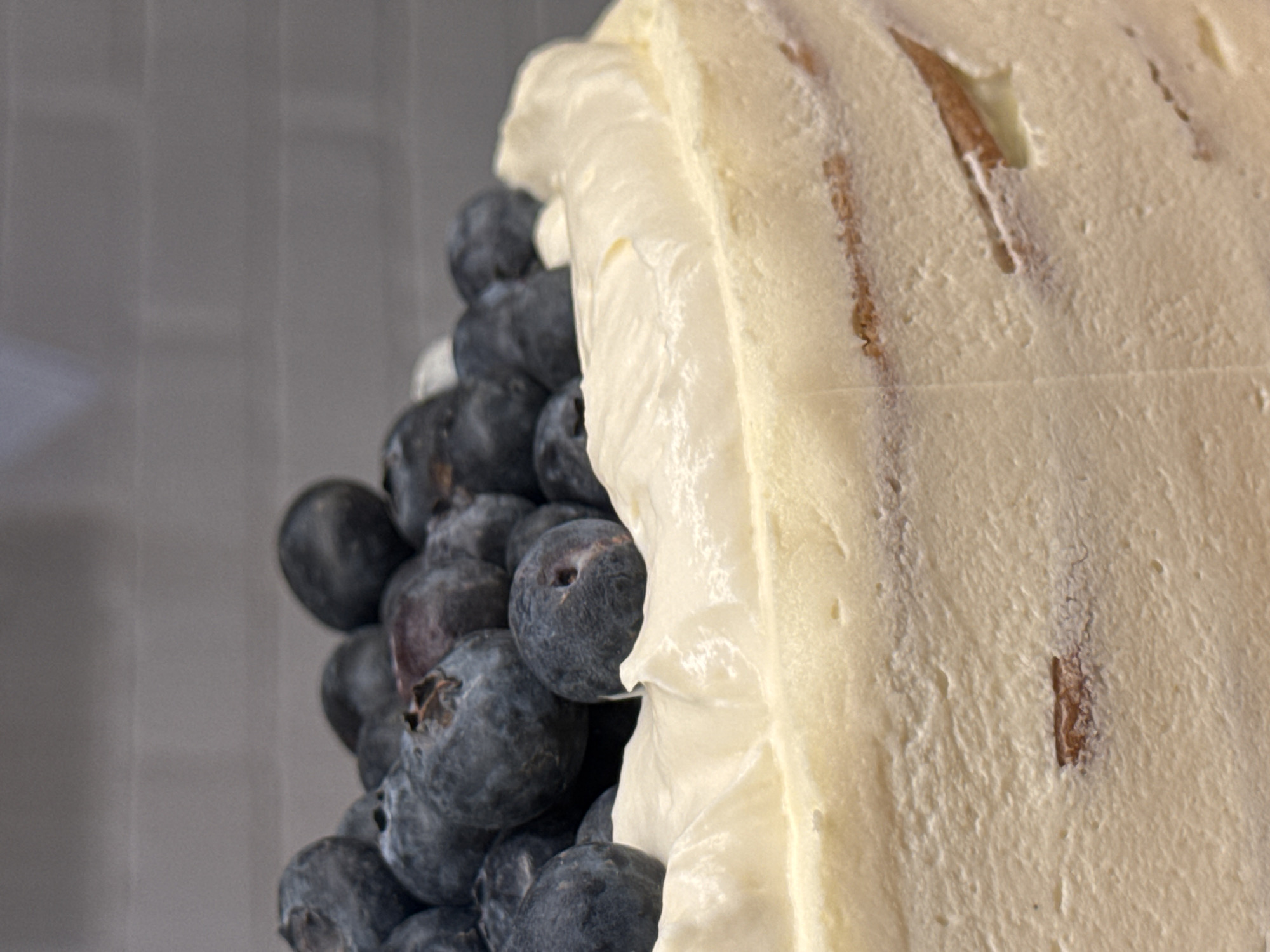 A close-up, high-angle shot captures a dessert, likely a cake or pastry, generously topped with fresh blueberries and a thick layer of creamy frosting. The dessert occupies the right side of the frame, showcasing its substantial coating of light, off-white frosting, which has a soft, whipped, and slightly textured appearance. Irregular, brownish streaks or marks are visible through or within the frosting, suggesting either internal layers of the cake or decorative elements.
To the left, a dense cluster of dark blue to purplish blueberries is prominently displayed. These berries appear fresh and plump, with the characteristic natural bloom on their surfaces. They are tightly packed, almost spilling over, indicating an abundant quantity.
The background is a muted, light gray surface, possibly a plain wall or backdrop, with faint vertical lines discernible, suggesting an indoor setting. The lighting is soft and even, illuminating the textures of the frosting and the berries without harsh shadows. No specific activity or event is taking place, as the image is a static food photograph. There are no people or visible text. While the context of Moscow, Russia is provided, there are no visual cues within the image itself to confirm this location.