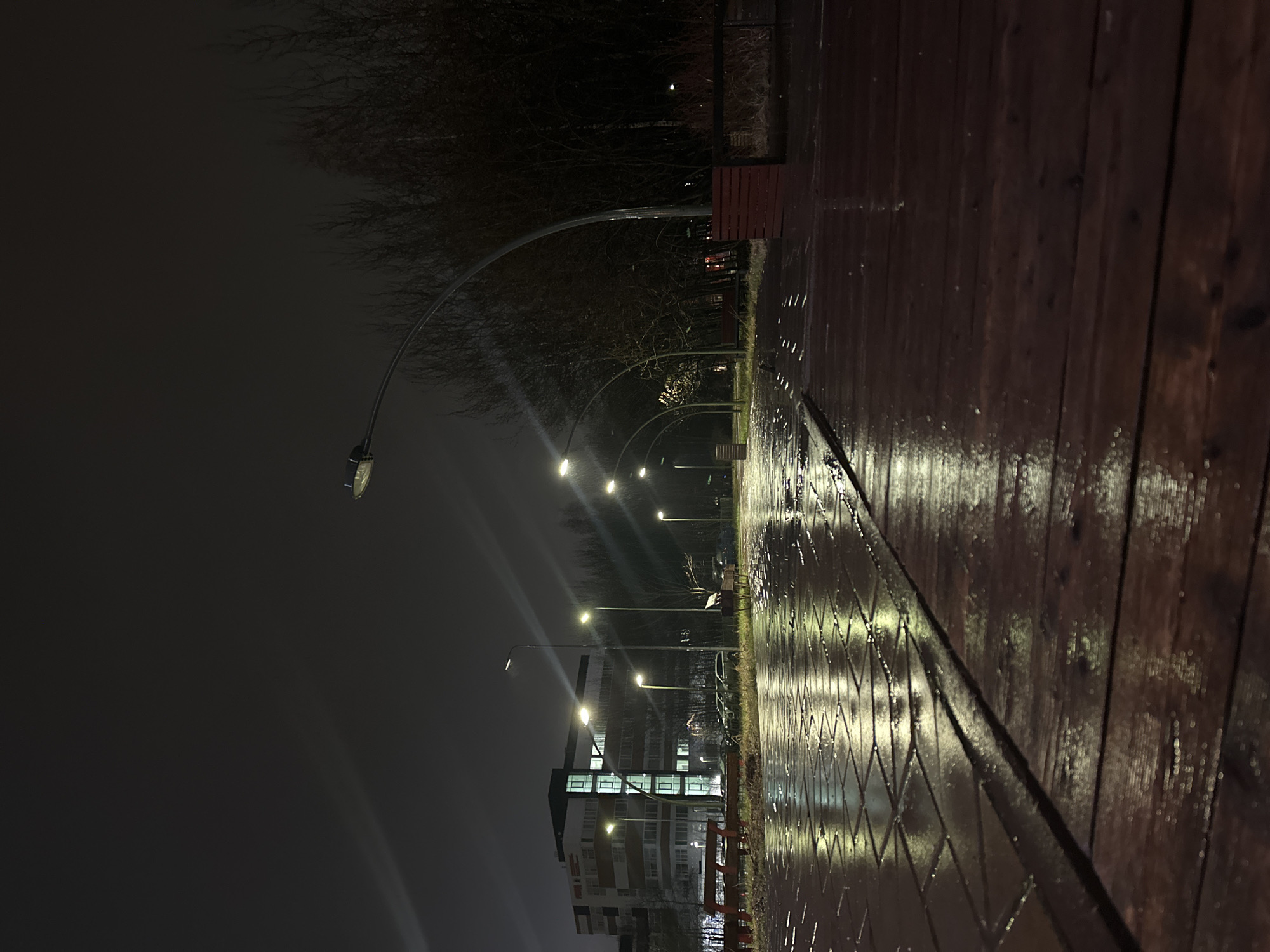 The image captures a nighttime scene of an outdoor walkway or promenade, likely in an urban or park setting. The perspective looks along a path that stretches into the distance, illuminated by a series of artificial lights.
The right side of the foreground features a wide wooden plank pathway, its surface slick and glistening with moisture, strongly reflecting the overhead streetlights. To the left of this wooden path, there appears to be a separate paved area, possibly with a grid-like pattern, also wet and highly reflective.
Several modern streetlights with distinct curved arms are spaced along the left side of the path, casting bright, star-like glows and creating long reflections on the wet ground. Further in the background, more traditional upright streetlights also provide illumination.
The background is dominated by a mass of bare trees and shrubs, indicative of a colder season such as late autumn or winter. Among the trees and along the path are several benches, some featuring reddish-brown slats. In the far left background, a multi-story modern building stands, its numerous windows brightly lit, suggesting active use. A faint outline of what appears to be a parked vehicle is visible near the building.
The scene is devoid of people or specific activities. The pervasive wetness of the surfaces suggests recent rain or damp weather conditions. The overall atmosphere is quiet, serene, and possibly contemplative, with the interplay of artificial light and reflections being a prominent visual element. No visible text is present in the image. The setting suggests a well-maintained public space in Kazan, Russia, under dark, damp conditions.