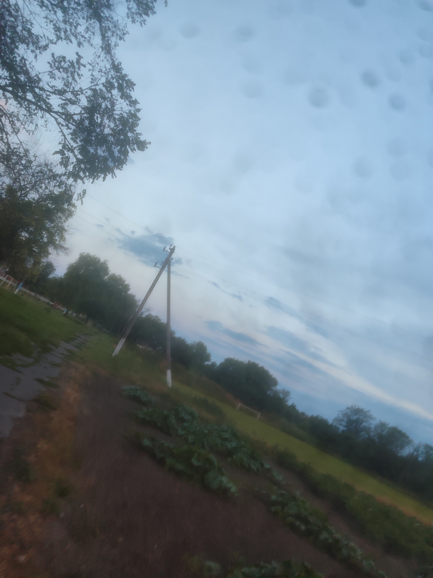 The image depicts an outdoor scene, possibly in a rural or suburban setting, with a tilted perspective. In the foreground, there are rows of planted vegetables in dark soil. To the left, a paved pathway with some debris leads towards a grassy area with trees. A single utility pole with white markings near its base stands in the middle ground, supporting power lines that stretch across the frame. Beyond the pole, a line of trees forms the background, with a glimpse of a green field and a goalpost suggesting a sports field. The sky above is filled with light clouds. The overall lighting suggests it is either early morning or late evening. There are no people visible in the image.
