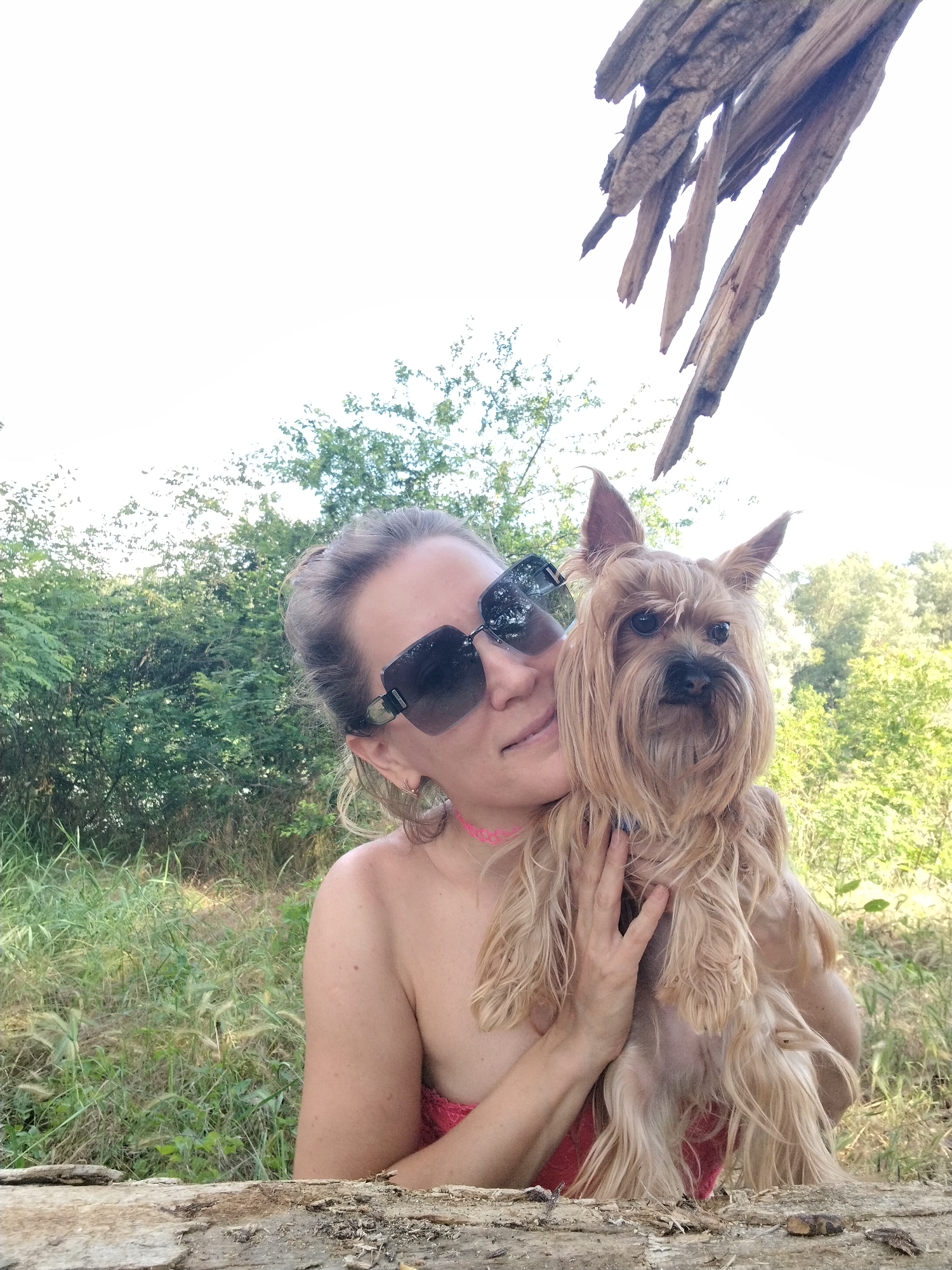 A woman with blonde hair pulled back and wearing large, dark sunglasses is holding a small, tan Yorkshire terrier dog. The dog is being held close to her face, and she is smiling slightly. The woman is wearing a pink top, and a pink necklace is visible. They are outdoors, with a background of lush green trees and foliage. A piece of weathered wood is in the foreground, and a larger, broken piece of wood is seen in the upper right corner of the image, with a bright sky peeking through. The lighting suggests it is daytime.