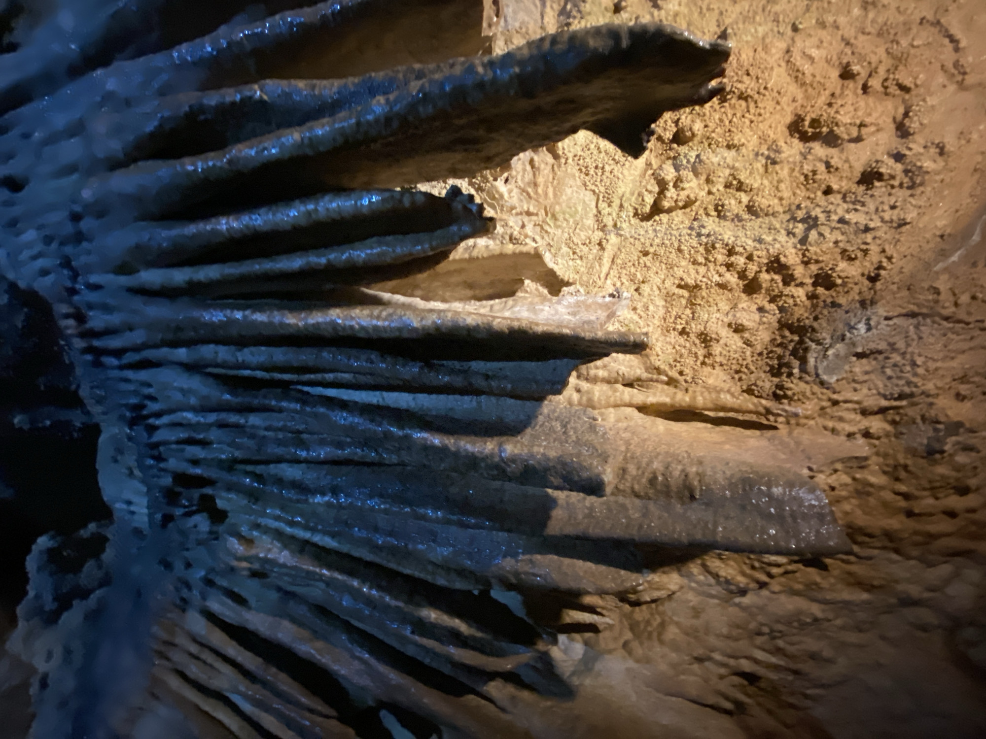 The image depicts a close-up view of cave formations, specifically draperies, inside Lipa Cave in Lipa Dobrska, Montenegro. The draperies are layered, plate-like formations, with water droplets present on their surfaces. The color of the draperies varies from dark gray to blue-gray. In the background, the cave wall exhibits a rough, porous texture and a brownish-tan color. Lighting conditions are subdued, creating shadows that accentuate the textures of the rock formations.
