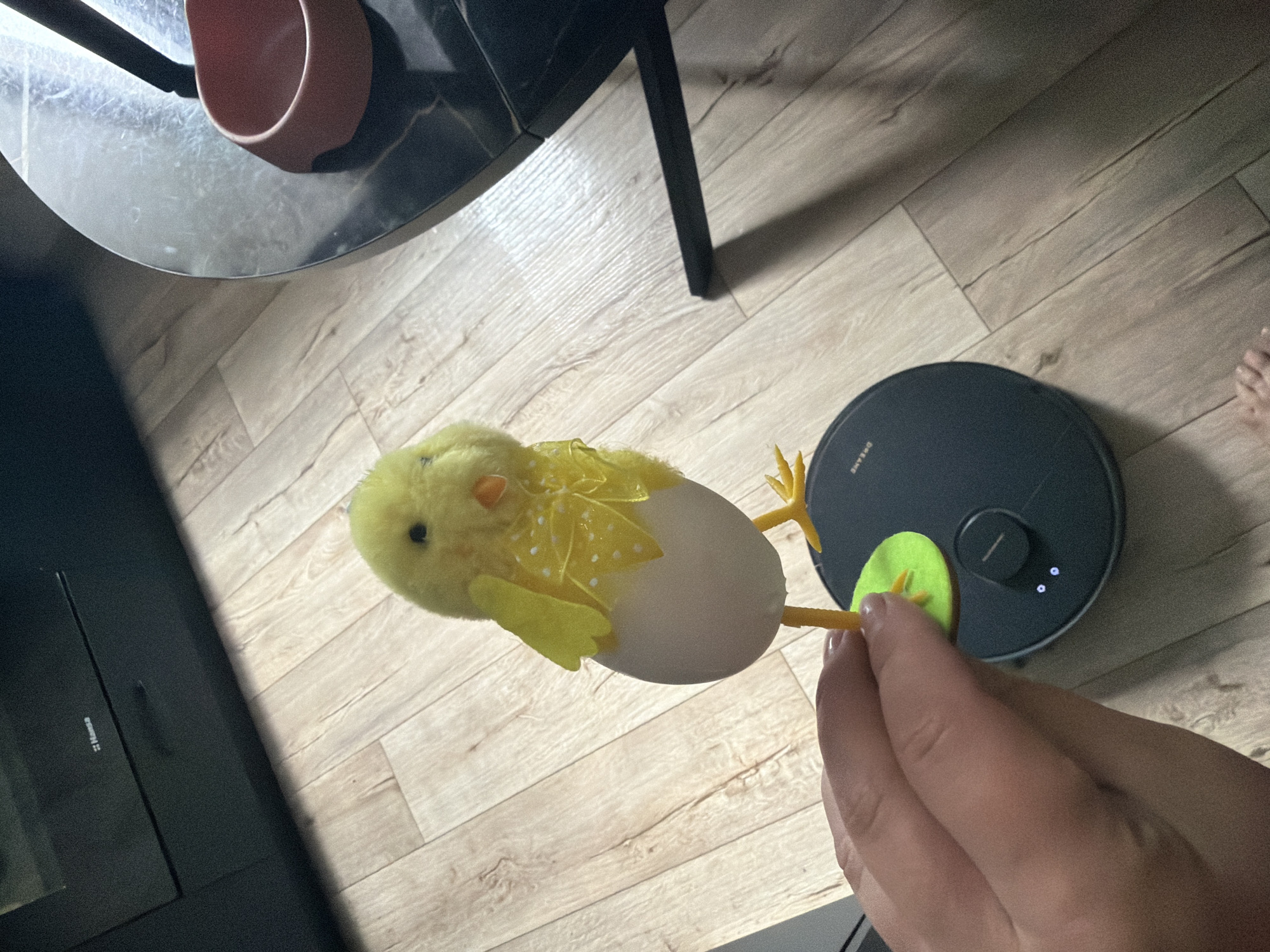 A person's hand is holding a decorative chick, which is standing on an egg. The chick is yellow and has a white bow with yellow polka dots around its neck. The egg is light brown. The chick and egg are perched on a green circular base, which is attached to the chick's feet. The green base is on top of a black circular robot vacuum cleaner. The robot vacuum has two small white lights on its surface. The scene is indoors, with a light brown wooden floor. In the background, there is a black piece of furniture with the "Hansa" logo visible. To the right, a black round table with a pink bowl on it is partially visible. The lighting suggests an indoor environment.