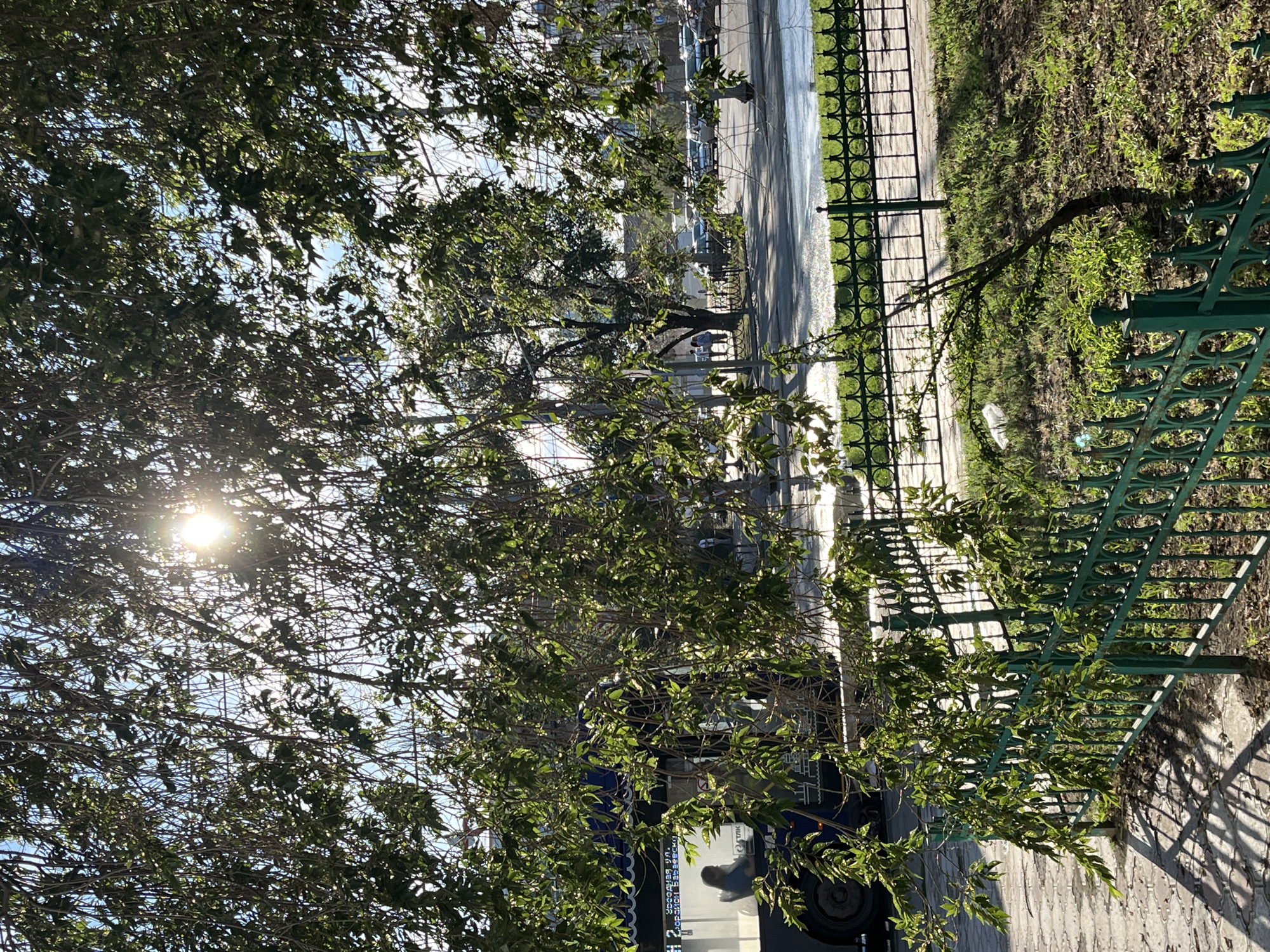 The image depicts a sunlit scene in Astrakhan, Russia, viewed through the foliage of a tree. In the foreground, a green wrought-iron fence encloses a grassy area. Beyond the fence, a paved walkway runs alongside a street. A blue bus, with a woman visible through its window, is parked on the side of the street. Further down the street, several cars are parked. The sun is visible through the leaves, casting dappled shadows on the ground and walkway. The sky is a clear blue. The overall impression is a pleasant, urban environment on a sunny day.