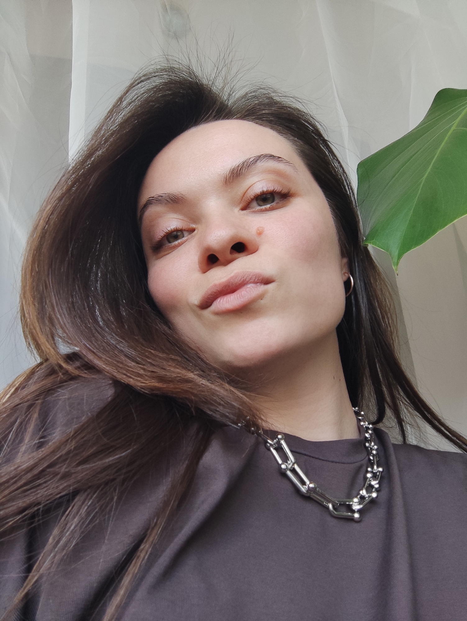 A close-up, low-angle selfie captures a young woman indoors in what appears to be Chaikovsky, Russia. She has long, dark brown hair that frames her face and flows down her shoulders, and light brown eyes. Her skin is light-toned, and she has a mole visible on her left upper cheek, near her nose. She is looking directly at the camera with a playful expression, her lips slightly pouting.
She is wearing a dark grey or charcoal-colored short-sleeved t-shirt. Around her neck, she sports a chunky silver chain necklace composed of U-shaped links and spherical elements. A small silver hoop earring is visible on her right ear.
The background features soft, diffused lighting, with a sheer, light-colored curtain or fabric visible on the left side. On the right, a large, vibrant green leaf from a houseplant partially obstructs the view. The lighting suggests it is daytime, likely with natural light coming from a window. The overall mood conveyed is casual and self-assured. There is no visible text in the image.