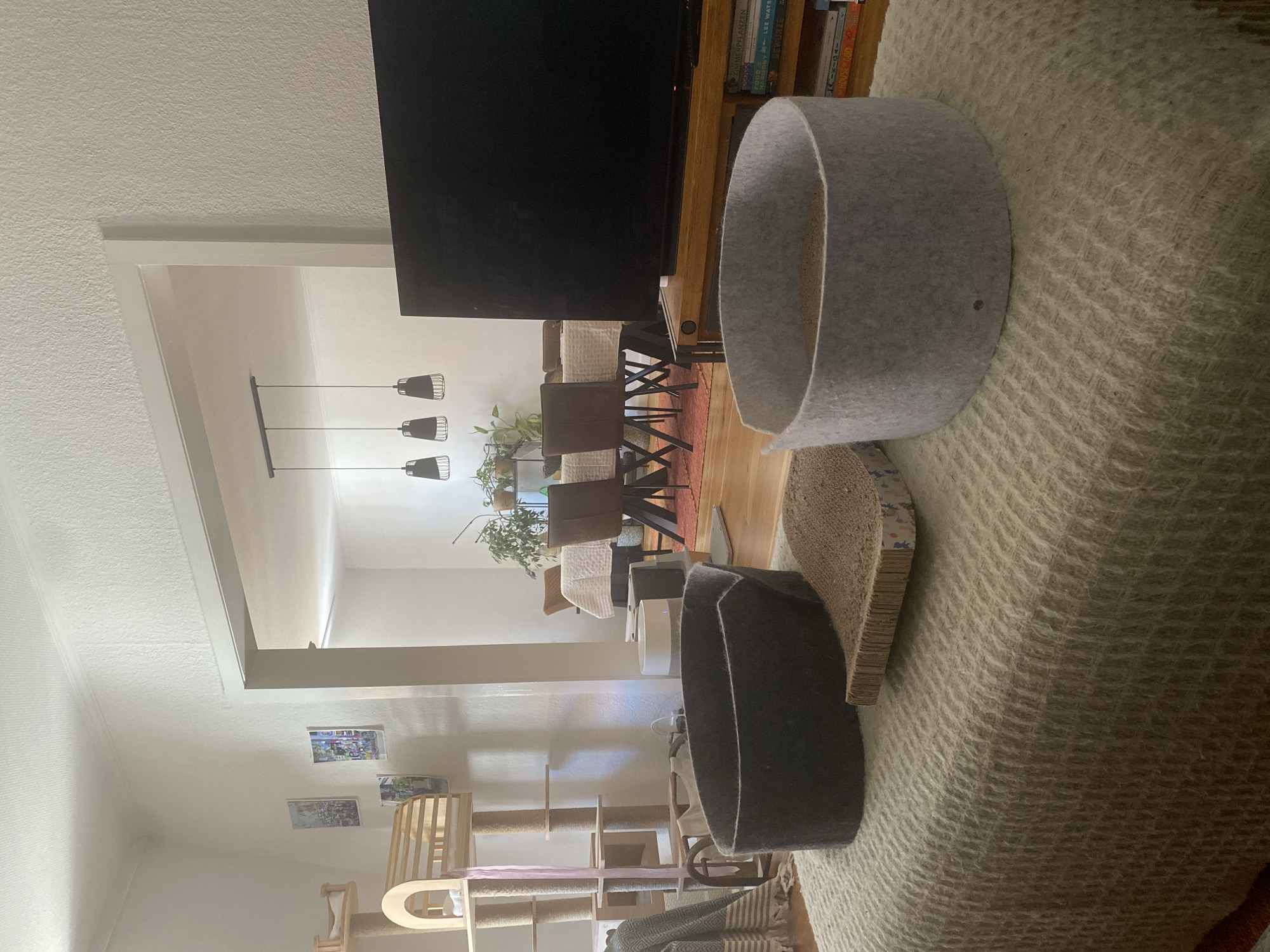 This is a photograph of an indoor living space, likely a living room, with a view into a dining area. The photograph is taken from a low angle, focusing on the foreground where two felt cat beds and a cardboard scratching pad are placed on a textured, light green throw blanket covering a piece of furniture. To the left, a multi-level cat tree made of light wood and rope is visible, adorned with a pink ribbon. In the background, through an open doorway, a dining table is set with a white tablecloth, surrounded by chairs. The dining area features multiple pendant lights hanging from the ceiling and several potted plants. A large flat-screen television is mounted on a wooden media console to the right of the frame, with books stacked on the shelves below. The overall environment appears to be a well-lit, residential setting. There are no people visible in the image. This scene is located in Hildesheim, Germany.