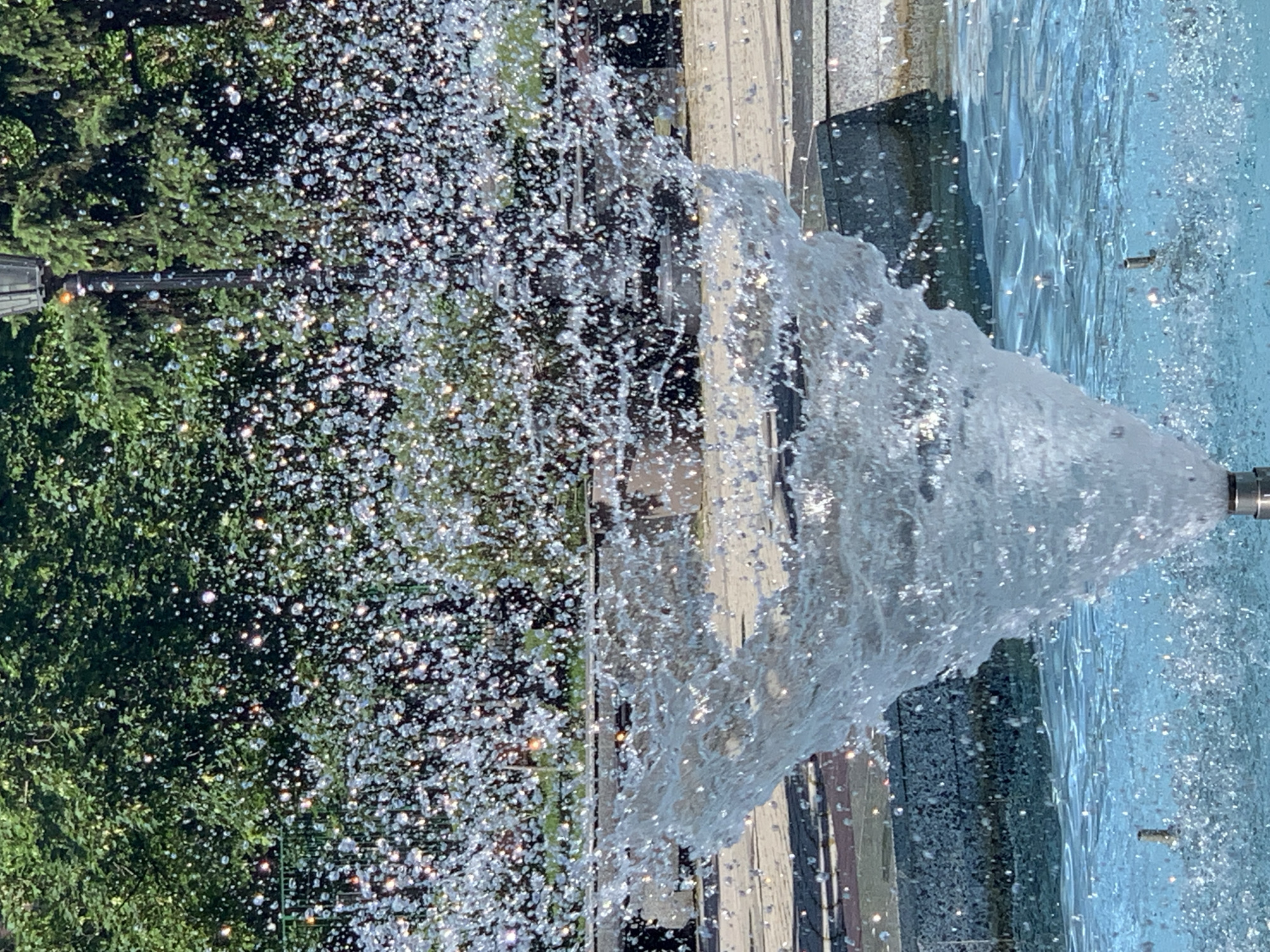 This image captures a vibrant, close-up view of a fountain in action, taken with a vertical orientation (appearing rotated 90 degrees clockwise). The primary subject is a dense spray of water, erupting from a nozzle located on the right side of the frame (bottom right when viewed upright).
Thousands of individual water droplets are caught mid-air, creating a dazzling effect as they brilliantly reflect bright sunlight. These sparkling droplets fill a large portion of the left and central areas of the image, appearing almost like a cloud of diamonds.
In the background on the far left (top left when upright), lush green foliage, likely trees or bushes, can be seen, providing a natural contrast to the clear water. Behind the spraying water, a structure made of what appears to be light-colored wood planks and darker elements is visible, possibly forming the edge of the fountain or a nearby deck. On the far right (bottom right when upright), a body of still, blue water, presumably the fountain's pool, extends, showing subtle ripples and reflections. A small, metallic object, likely another part of the fountain's plumbing or a secondary jet, is partially visible submerged in this water.
The activity depicted is the continuous upward spray of water from the fountain. The bright reflections on the water droplets strongly suggest it is a sunny day. The scene evokes a sense of refreshing movement and sparkling light in an outdoor setting. No discernible text is visible in the image.