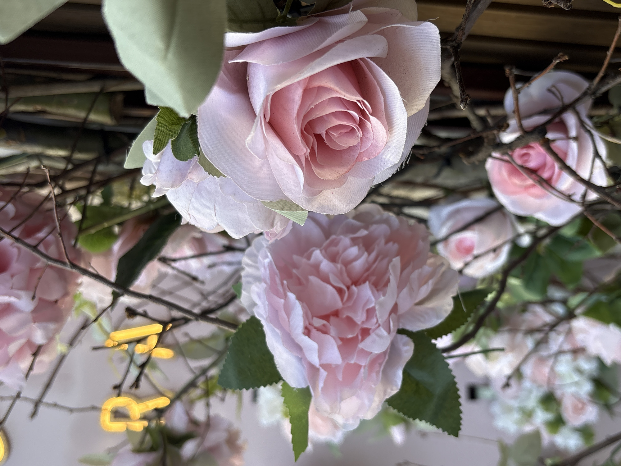 This image captures an upward view of a decorative arrangement, likely within an interior or a sheltered outdoor space in Kragujevac, Serbia. The primary subjects are artificial pink flowers and interwoven dry branches.
In the upper center, a prominent, light pink artificial rose with tightly layered petals is showcased. Directly below it, another large artificial flower, resembling a peony with numerous ruffled petals, is visible, also in shades of soft pink. Several other blurred pink flowers and green artificial leaves with serrated edges are interspersed throughout the background, suggesting a rich floral canopy. A network of dark, bare, and gnarled branches weaves through the flowers, adding a rustic element to the delicate blooms.
The flowers and leaves appear to be hanging or suspended, as depicted by the upward photographic angle. Scattered throughout the scene are blurred, glowing yellow-orange elements, particularly in the lower left and middle right. These elements resemble stylized parts of letters, likely from a neon sign or decorative light-up letters, contributing a warm, ambient glow to the arrangement. The overall impression is one of a charming and decorative setting, possibly created for an event or as permanent decor. No discernible text can be clearly read from the blurred glowing elements.