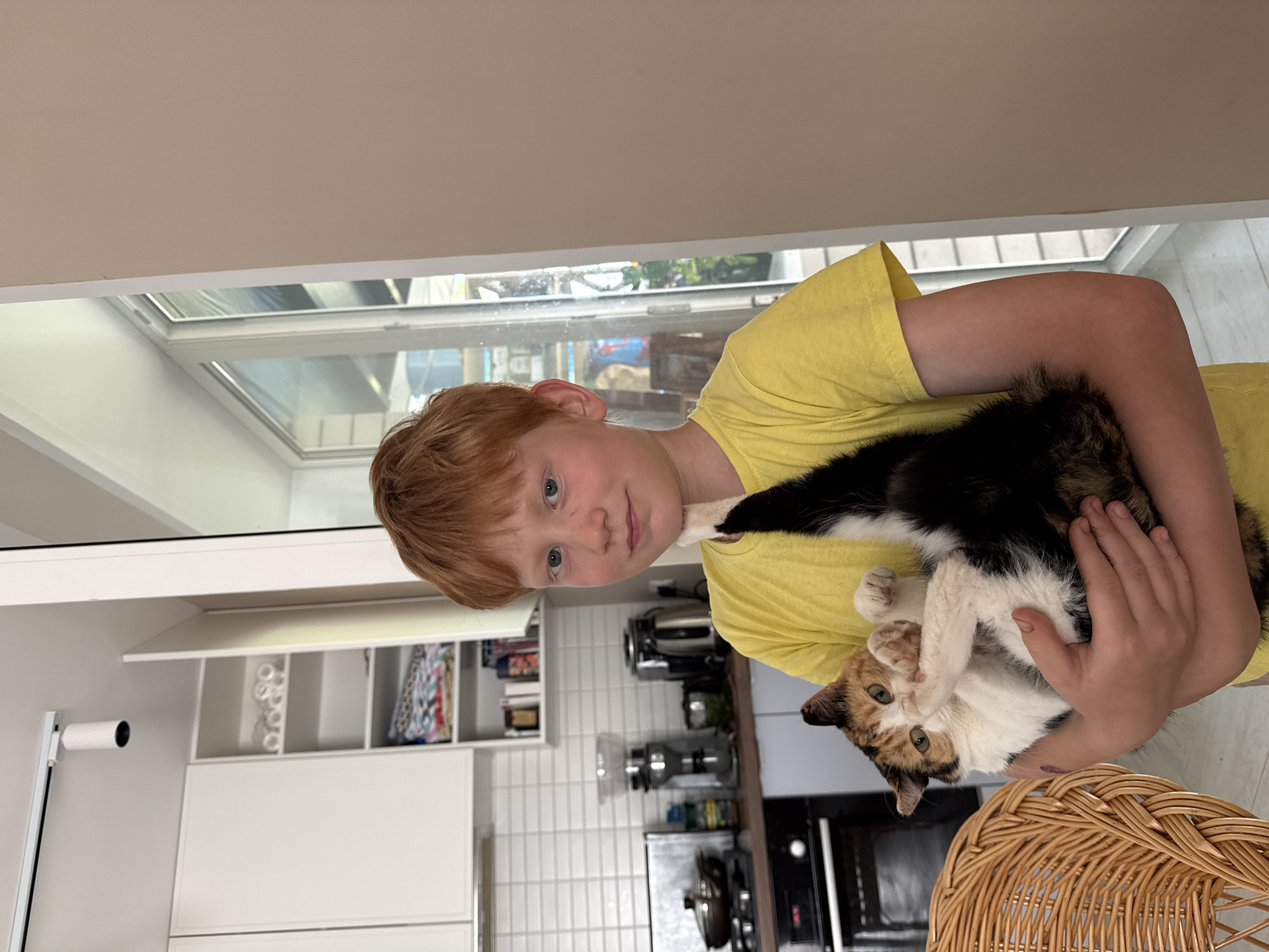 A young boy with red hair and blue eyes, wearing a yellow t-shirt, is holding a calico cat. The cat is mostly white with patches of black and orange. The boy is looking at the camera with a slight smile. The scene appears to be indoors, possibly in a kitchen. In the background, there are white cabinets, a tiled backsplash, and kitchen appliances. A skylight is visible above, letting in natural light. A wicker basket is in the lower right corner of the image. The overall impression is a candid moment of a boy and his pet.