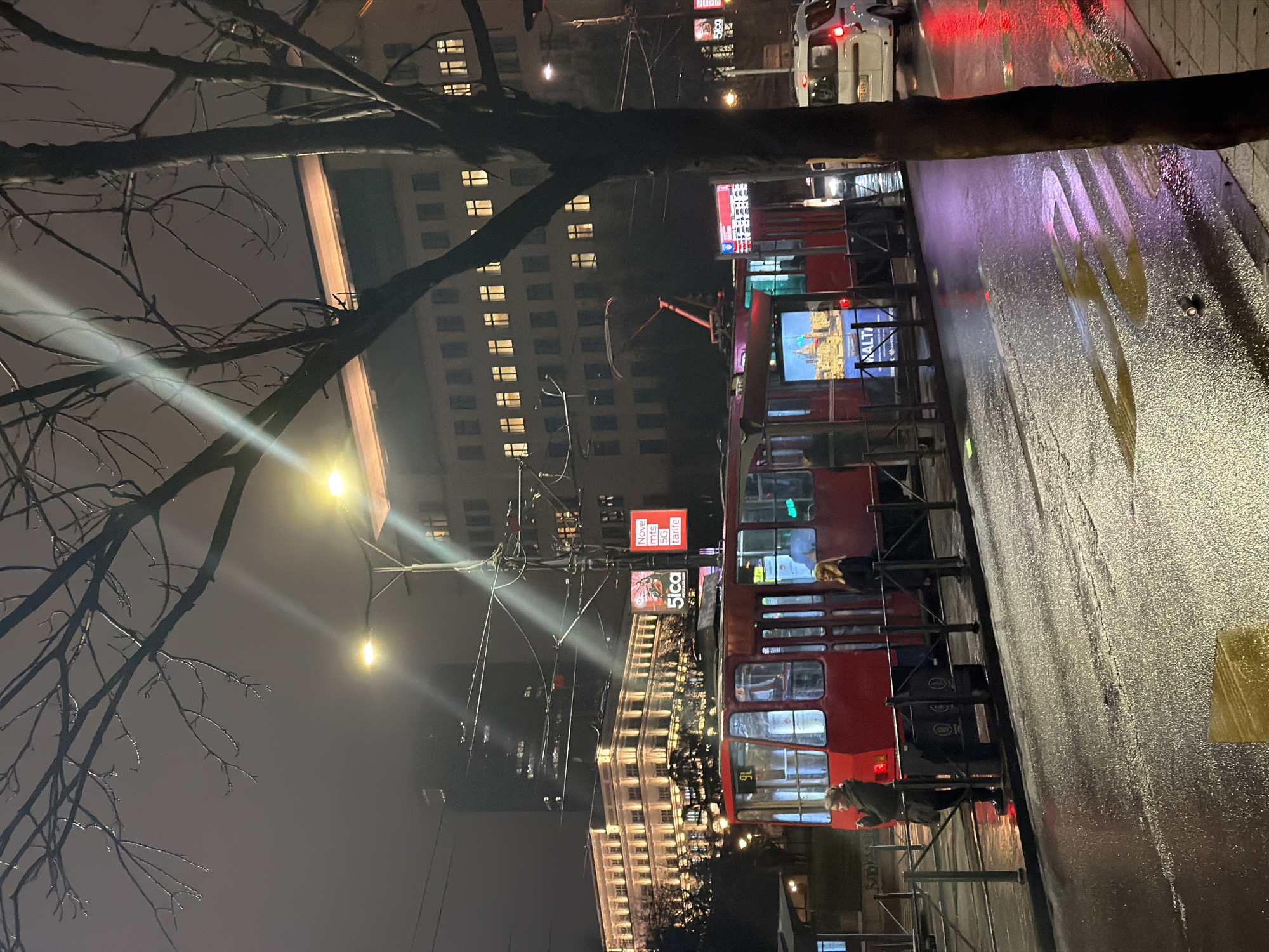 The scene depicts a wet, rainy night in the city of Belgrade, Serbia, likely along a tram line. A red, multi-car tram, identified with "9L" on its front, is stationary or moving slowly on tracks to the left of the frame. It features a digital display on its side showing an image, possibly an advertisement for "MALTA." Overhead power lines and a pantograph are visible above the tram.
Several individuals are present: one woman in a dark coat stands outside the tram on the left, facing towards the right, with her hands near her mouth. Another woman with blonde hair in a dark top stands further right, outside the tram doors. Other figures are partially visible inside the tram. Metal barriers line the tram stop area.
The wet asphalt road in the foreground reflects streetlights and vehicle lights, creating streaks of purple and yellow illumination. A small dark object, possibly a discarded can, lies on the wet pavement. In the mid-ground, a white van with illuminated red taillights is visible on the road to the right.
The background features illuminated city buildings. To the left, a large, ornate building with numerous lit windows is prominently illuminated by warm yellow lights. Further back and to the left, a taller, darker skyscraper is partially obscured by haze. To the right, another multi-story building with many lit windows is visible. Overhead wires and streetlights are scattered throughout the scene. Advertisements on vertical billboards are visible in the distance, one displaying "5ica" and another "Nove mts 5G tarife" (New mts 5G tariffs), confirming the Serbian context. The foreground is framed by the bare, dark branches of a deciduous tree on the right, and more bare branches stretch across the top of the frame, silhouetted against the hazy night sky. Artificial light sources cast distinct beams and reflections throughout the environment.