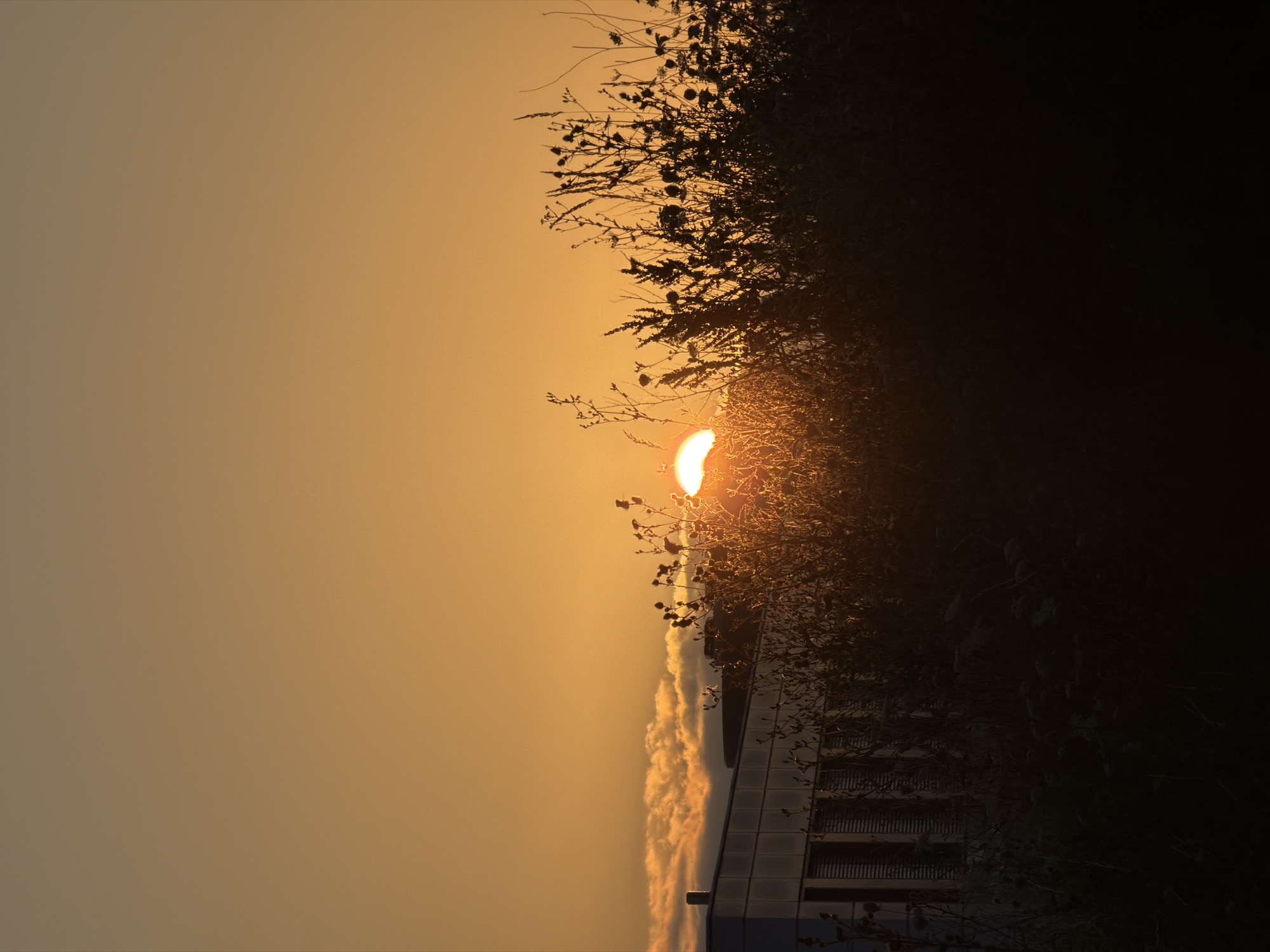 A sunset casts a warm orange glow across the sky, with the sun partially obscured by silhouetted vegetation in the foreground. To the left, a modern building with horizontal window louvers is visible, its facade reflecting the sunset colors. Some wispy clouds are present low in the sky. The scene appears to be an outdoor setting, possibly in the vicinity of a building in Leudelange, Luxembourg, during twilight.