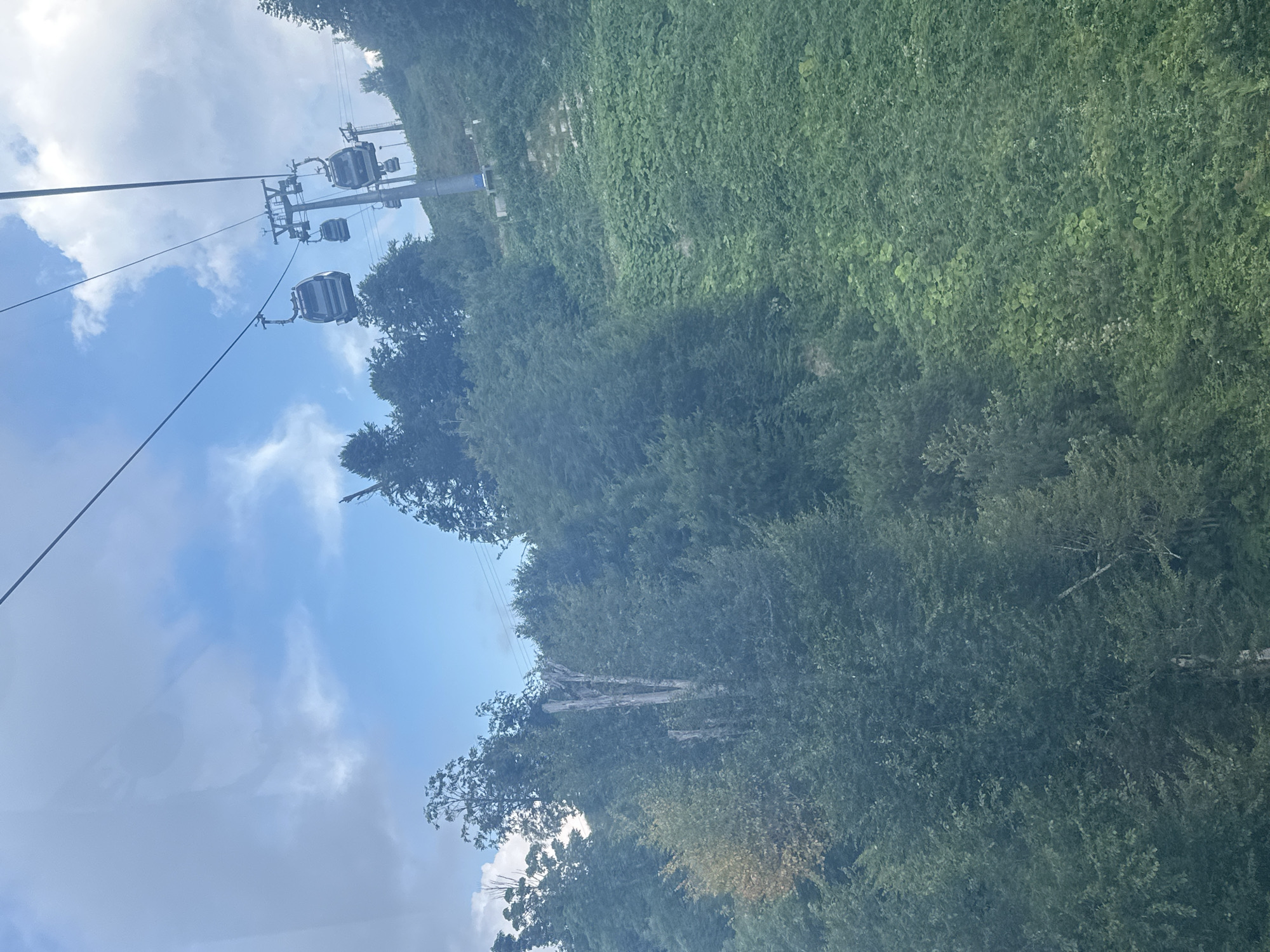 A cable car system traverses a lush, green mountainside in Estosadok, Russia. Several gondolas are suspended from cables, moving towards the right of the frame. The mountainside is covered in dense, verdant foliage, with a few exposed patches of earth or rock on the slope. Tall trees are scattered throughout the landscape, some appearing taller than others. The sky above is a mix of blue and white clouds. The image appears to be taken from another moving cable car, as evidenced by the slight blur and reflections on what seems to be a window.