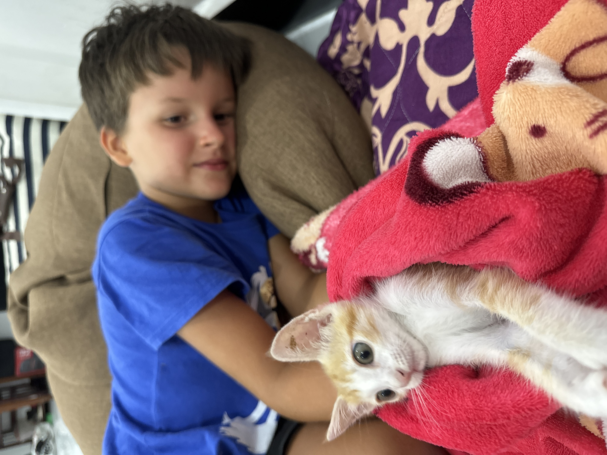 This indoor photograph, taken in Mũi Né, Vietnam, captures a tender moment between a young boy and a kitten. The main subjects are a boy and a small cat, surrounded by soft furnishings.
On the left side of the frame, a young boy, appearing to be between 5 and 8 years old, is visible from the chest up. He has short, dark brown hair and is wearing a plain blue t-shirt. His face is slightly out of focus as he looks gently towards the kitten on the right. He is leaning against a large, light brown cushion or sofa arm.
On the right, a small kitten, predominantly white with light orange/ginger patches, is partially wrapped in a vibrant red, fuzzy blanket. The kitten's head is tilted, and it looks directly at the camera with curious, green eyes. A small, dark brown spot or mark is visible on one of its ears. The red blanket appears very soft and plush, and a light-colored, possibly cartoonish, character design (like a bear or dog) is subtly visible on it in the upper right corner.
Behind the kitten and the boy, a patterned purple fabric, likely another blanket or cushion, adds a contrasting color to the scene. The background is softly blurred, showing glimpses of vertically striped curtains (white and dark) and what appears to be shelving or furniture, indicating an indoor setting like a living room or bedroom. The lighting suggests it is daytime. The overall mood conveyed is one of warmth, affection, and comfort between the child and the pet. There is no visible text in the image.