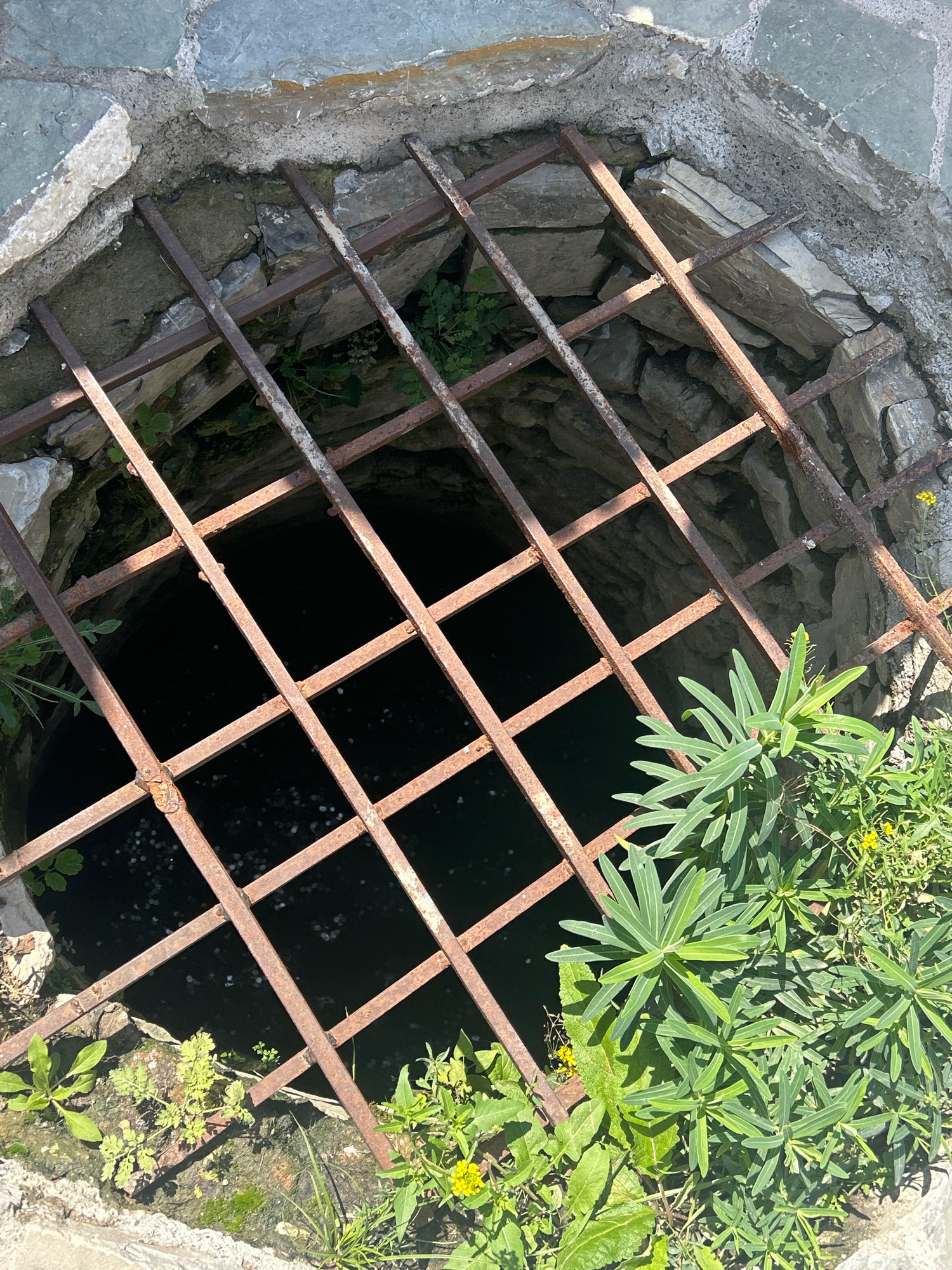 The image shows a view looking down into a well, covered by a rusty metal grate. The well is constructed of rough-hewn stones and appears to be old. The grate is made of thick metal bars, crisscrossed to form a diamond pattern. Below the grate, the water in the well is dark, and it is possible to see a scattering of coins at the bottom. Green plants and small yellow flowers are growing around the edge of the well. This scene is located in the city of Shalikiantkari, Georgia.