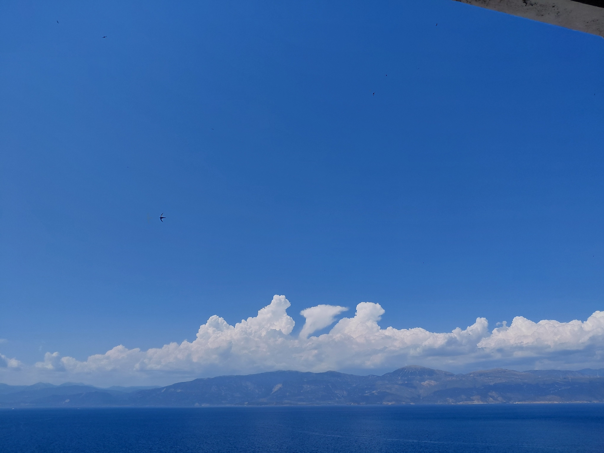 The image depicts a serene coastal scene under a clear blue sky, likely taken from an elevated vantage point. In the foreground, the deep blue expanse of the sea stretches towards a distant coastline. The coastline is characterized by a range of mountains, their peaks softened by atmospheric haze. A line of white, puffy cumulus clouds floats above the mountains, casting subtle shadows and adding texture to the sky. The sea appears calm, with no visible waves or boats.
Several small, dark shapes are visible in the sky, which appear to be birds in flight. One bird is particularly noticeable in the mid-left portion of the frame, its wings spread as if gliding. The upper right corner of the image shows a dark, angled structure, possibly a balcony railing or a part of the building from which the photograph was taken.
While the specific location within the Municipal Unit of Aegio, Greece cannot be definitively determined from the image alone, the characteristic mountainous coastline and the clear blue sea suggest a location along the coast of the Corinthian Gulf. Such a vista is common in coastal towns and villages within this region, known for their scenic beauty and maritime connections. The overall impression is one of a peaceful, natural landscape bathed in sunlight.