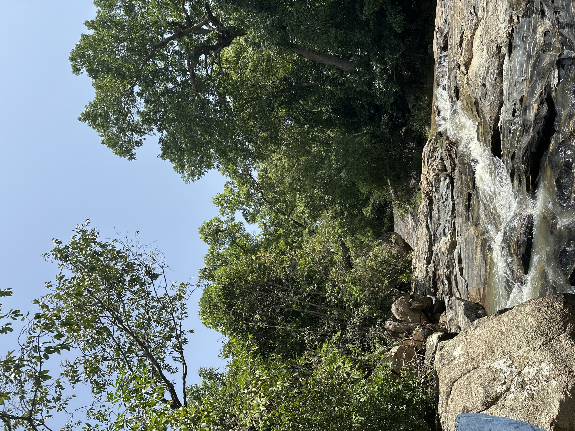 The image depicts a natural scene in Fobur, Nigeria, featuring a waterfall cascading down a rocky cliff face. Lush green trees with dense foliage surround the waterfall, with some branches extending into the clear blue sky. The rock formations are varied, with some areas appearing smooth and weathered, while others are rough and striated. The water from the waterfall creates a dynamic element, with visible splashes and foam as it flows over the rocks.
The lighting suggests it is daytime, with the sun casting shadows and highlighting the textures of the rocks and the vibrancy of the leaves. The overall mood is one of natural beauty and tranquility, evoking a sense of peace and immersion in nature. The presence of what appears to be a person's lap in jeans at the bottom right corner of the frame suggests a visitor or observer within this natural landscape. No text is visible in the image.