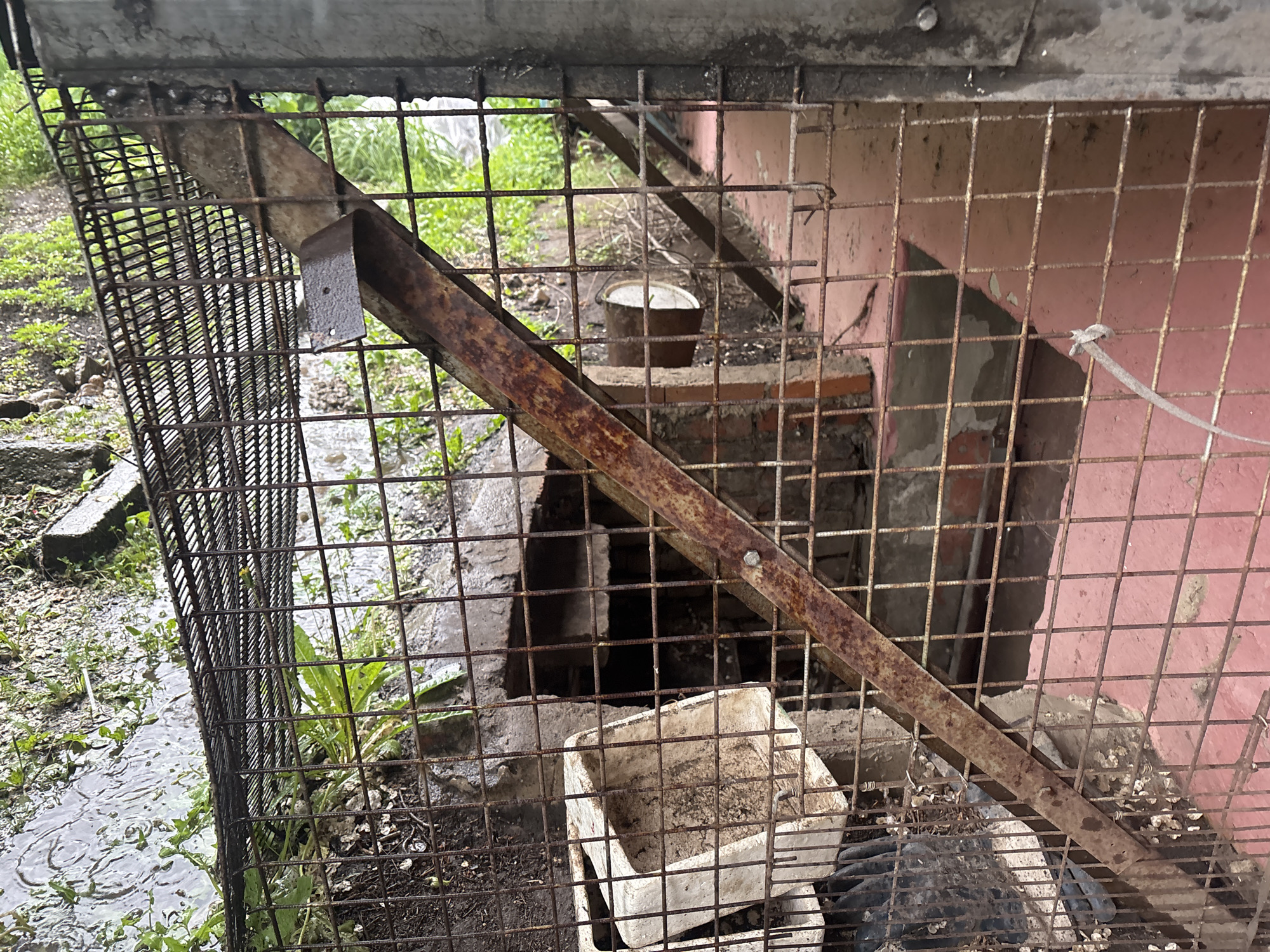 The image displays an outdoor scene dominated by a rusty, square-grid wire mesh fence or enclosure. The fence appears old and weathered, with significant rust on its metal components.
Through and around the fence, various elements are visible. On the left side, beyond the fence, the ground is wet and uneven, covered with green weeds and small plants. A stream or puddle of water, showing ripples from potential rainfall, runs along this area. A concrete block is partially submerged in the wet ground.
Within the enclosure, or directly behind the fence, a heavily rusted metal beam or support structure runs diagonally across the frame. Below this beam, a white, square plastic container or bucket sits on the ground, appearing dirty and possibly broken. Adjacent to it, a dark, coarse mesh or grate lies on the ground.
Further back, through the gaps in the fence and structure, a small, rusty metal bucket with a lighter rim is visible on a low, concrete or brick ledge. Behind this, a pink-colored wall, likely part of a building, is seen. The wall shows signs of wear, with peeling paint or weathered surfaces. The ground in the background is uneven and covered with sparse, dry vegetation and debris.
The overall scene suggests a neglected or utilitarian outdoor area, possibly after rain, given the wet ground and general rundown appearance. There are no people present, and no discernible text is visible.