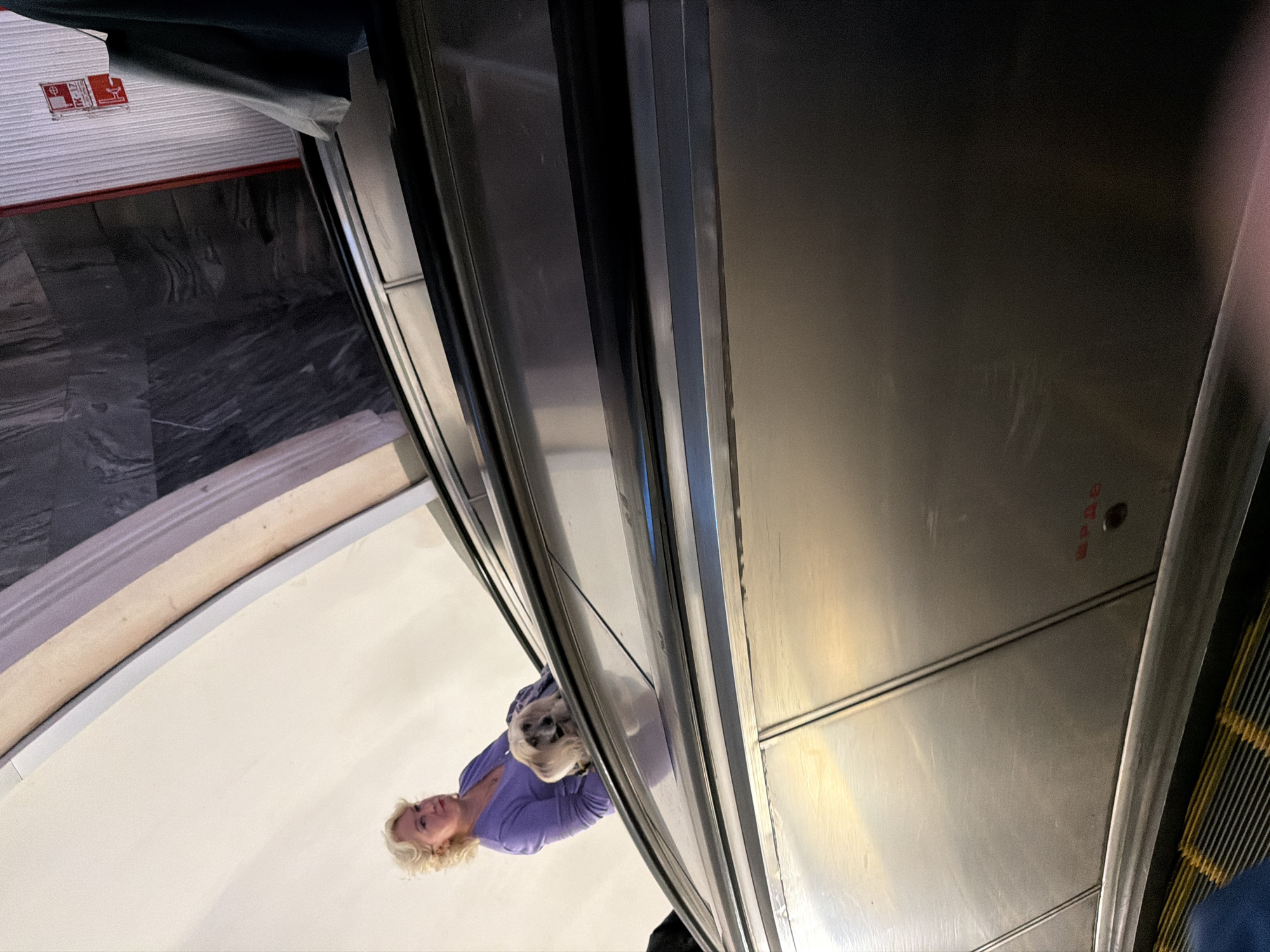 On an escalator, a fair-skinned woman with blonde, curly hair, wearing a purple v-neck top, is holding a small, light-colored dog with a long snout. The woman is looking towards the camera with a neutral expression. The escalator is made of stainless steel with black handrails. The background consists of a curved, white wall and a dark, marbled wall with some signage. The scene appears to be indoors, possibly in a subway station.