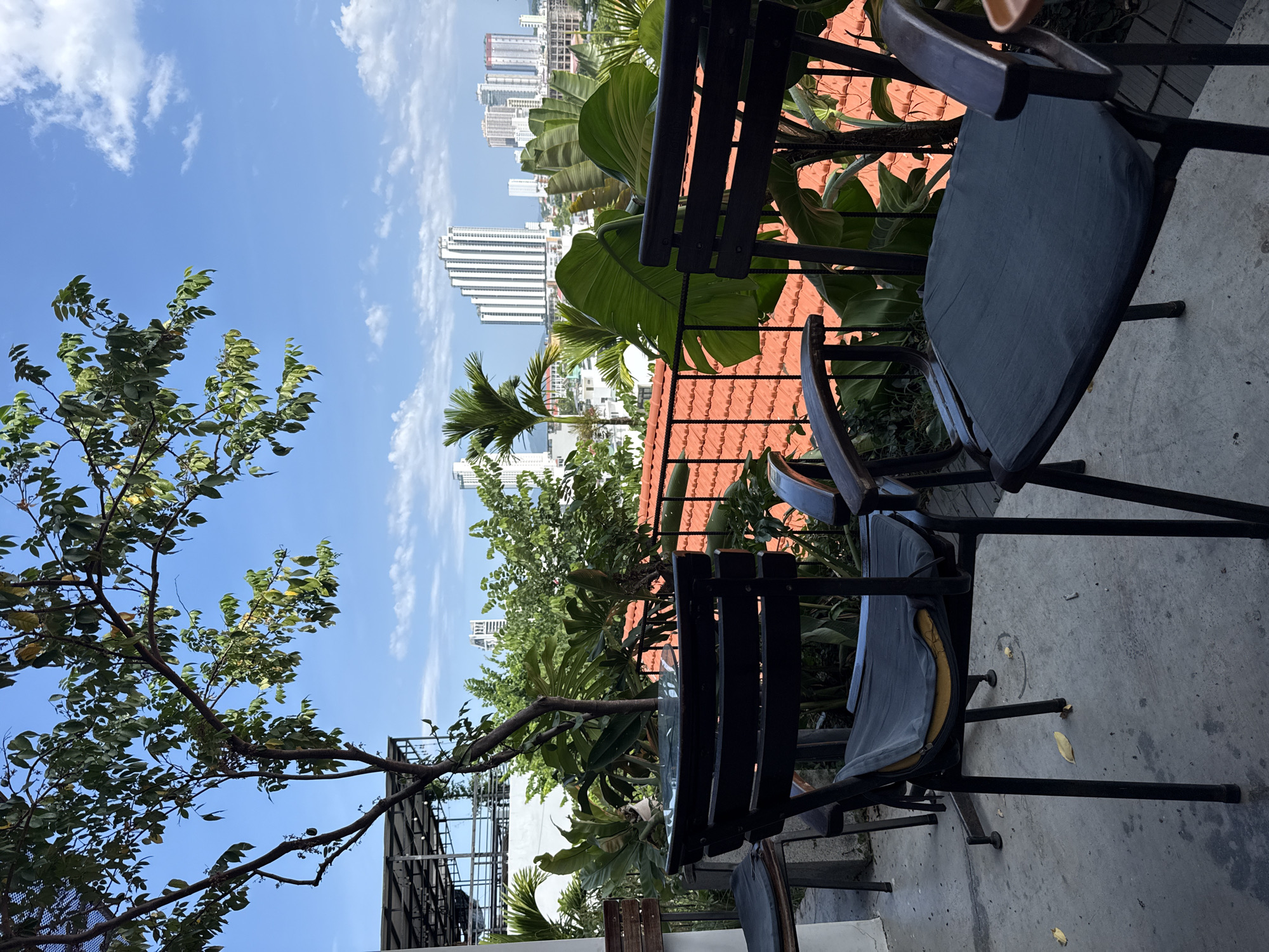 The image depicts an outdoor seating area with several empty chairs and a table, likely a cafe or restaurant balcony, overlooking a city skyline. The scene is oriented sideways, with the sky and buildings appearing vertical. In the foreground, dark metal chairs with worn, blue seat cushions are arranged on a concrete floor. Some chairs have visible damage, such as exposed yellow foam stuffing. A black metal table with a partially visible glass top is also present.
Behind the seating area, lush green tropical foliage, including large-leafed plants and palm fronds, provides a natural backdrop. A tree with green leaves branches across the left side of the frame. Beyond the greenery, terracotta-tiled roofs are visible, followed by a dense cityscape of modern high-rise buildings. The sky is bright blue with scattered white clouds, suggesting a clear day. The orientation and the presence of tall buildings suggest an urban environment, possibly in a coastal city given the tropical vegetation. The lighting indicates it is daytime, likely midday given the bright sun. No people are visible, and no text is present in the image. The overall impression is a relaxed, somewhat unkempt outdoor space offering a view of the city.