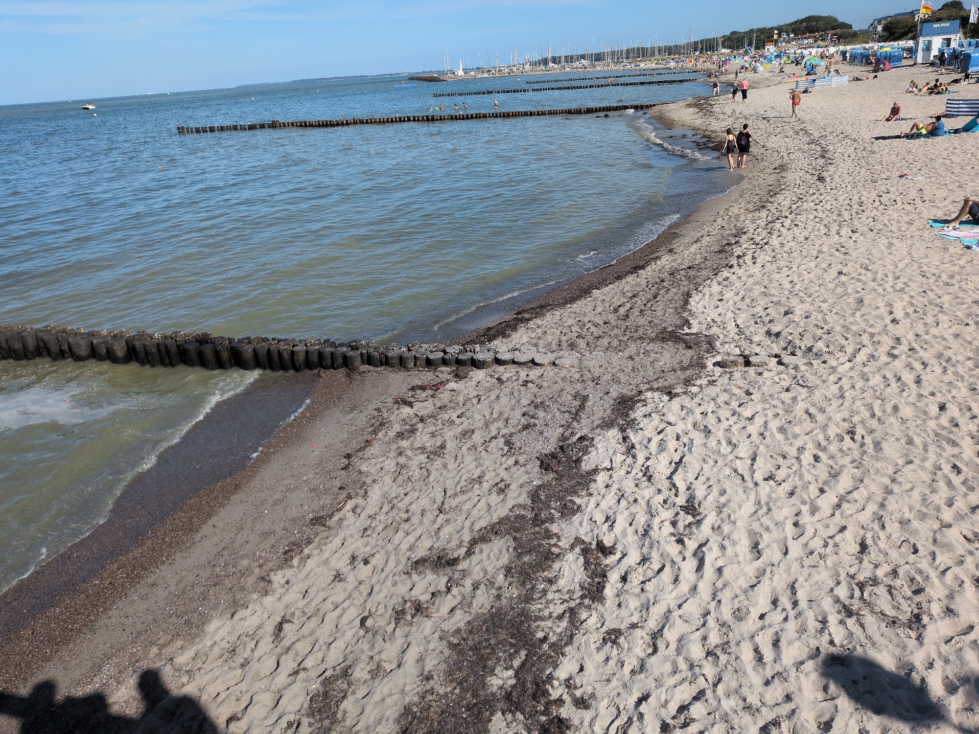 A wide-angle, eye-level shot captures a lively scene at the beach in Kühlungsborn, Germany. The foreground is dominated by sand, marked by numerous footprints and scattered dark seaweed. The edge of the water meets the shore, with small waves gently lapping. In the water, a line of wooden groynes stretches out, breaking the waves.
Further out, a few people are visible in the water near the groynes. The middle ground features a wider expanse of water, with a few boats in the distance. The background reveals a bustling beach with many people, colorful beach chairs, tents, and umbrellas. Buildings and a treeline are visible on the far horizon, under a clear blue sky. The overall impression is a sunny day at a popular seaside resort.