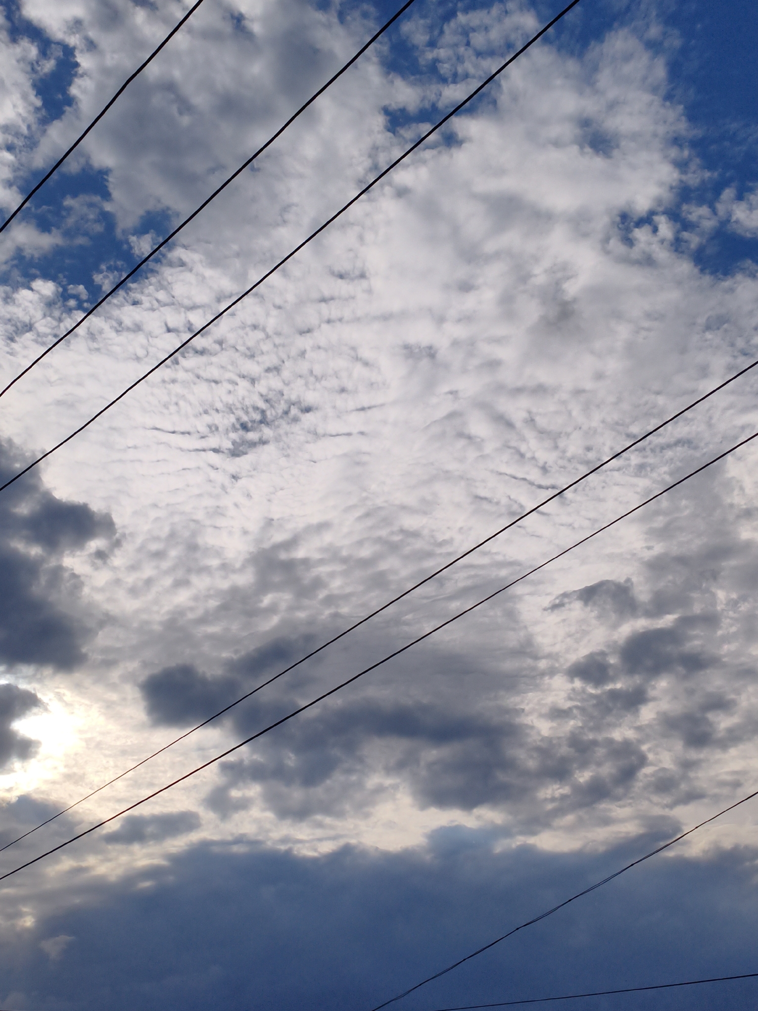 This is a vertically oriented, low-angle shot of a cloudy sky with multiple power lines running diagonally across the frame. The clouds are varied, with some appearing dense and dark, suggesting potential rain or storm clouds, while others are lighter and wispy, particularly in the upper right portion of the image. The blue sky is visible in patches between the clouds, especially in the upper half. The sun is partially obscured by clouds in the lower left, casting a diffused, bright light. The power lines are thin and black, creating strong linear elements that divide the sky. There is no text visible in the image. The overall mood is somewhat dramatic due to the contrast between light and dark clouds and the presence of the power lines, which could evoke feelings of urban or industrial environments, or simply a snapshot of a weather-influenced sky. Given the location context of Orenburg, Russia, this scene could represent a typical sky during a changeable weather period. The time of day is likely late afternoon or early evening, as indicated by the diffused sunlight and the mixture of light and shadow in the clouds.