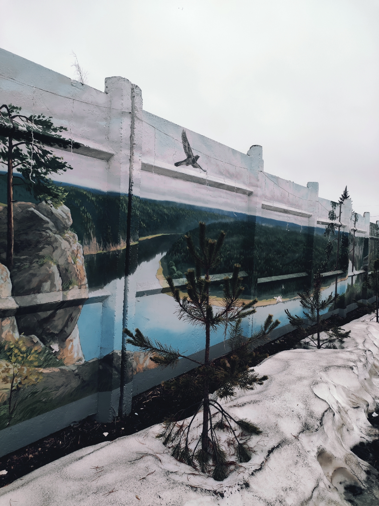 A painted concrete wall depicts a landscape scene including a body of water, trees, and a bird in flight. The concrete wall is divided into sections by vertical and horizontal elements. The painting, which covers the majority of the wall's surface, presents a river bordered by trees and rocky cliffs under an overcast sky. A bird, seemingly an eagle or hawk, flies above the river.
In the foreground, small evergreen trees are planted in the ground in front of the wall. Patches of melting snow cover the ground near the base of the wall and around the trees.
The image appears to be taken in an urban or suburban area, with the wall serving as a decorative feature.