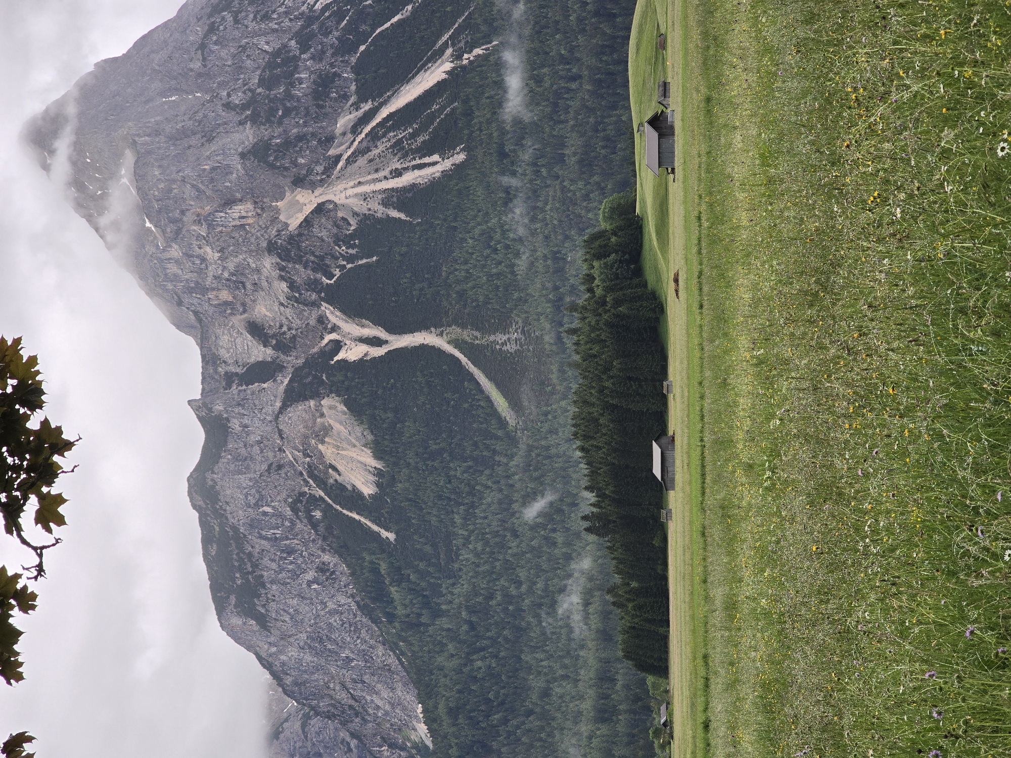 The image depicts a wide, grassy meadow in the foreground, dotted with various wildflowers and tall grasses. In the middle ground, a line of evergreen trees forms a dark forest, with a few small wooden structures, possibly barns or sheds, scattered in the grassy fields beyond. The background is dominated by a majestic, rocky mountain range under a cloudy sky. The mountain's slopes show signs of erosion with lighter colored streaks running down the dark rock and patches of sparse vegetation. A large peak in the center is partially obscured by clouds. The overall impression is a serene and natural landscape. The scene is located in Lermoos, Austria, as indicated by the prominent Zugspitze mountain range.