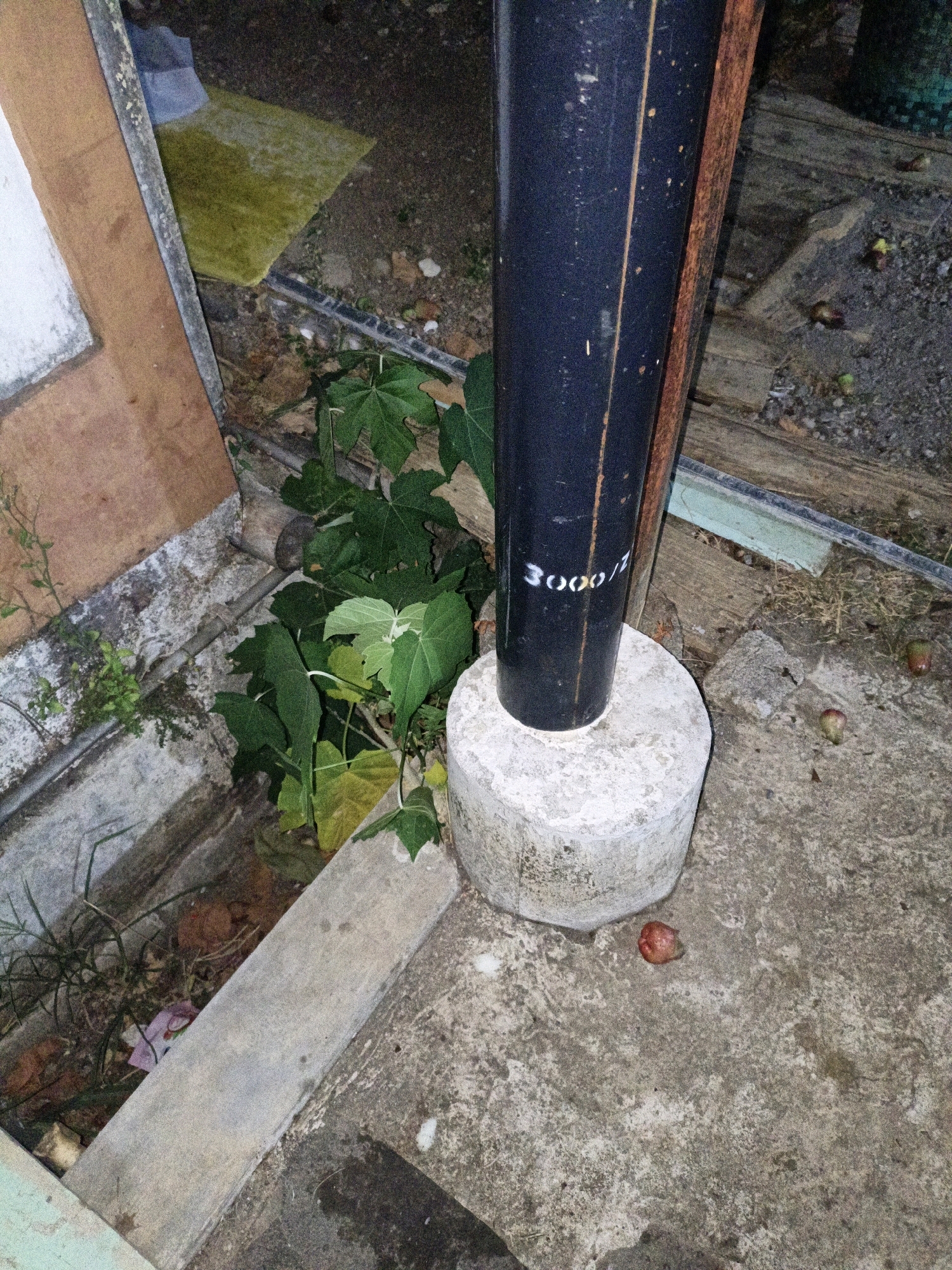 The image shows a close-up, outdoor scene with a dark vertical pipe standing on a concrete base. The pipe has white markings that appear to read "3000/1". To the left of the pipe, there are green plants growing. To the right and behind the pipe, there is a wooden surface and gravelly ground with small, red, round objects scattered, possibly fruits or debris. The ground is a mix of concrete and dirt. In the background, a wooden structure is visible. The scene is dimly lit, suggesting it might be evening or a poorly lit area. The presence of plants, a pipe, and a concrete base suggests an outdoor or possibly industrial or utility area. There is no indication of the city of Cikal, Indonesia within the image itself.