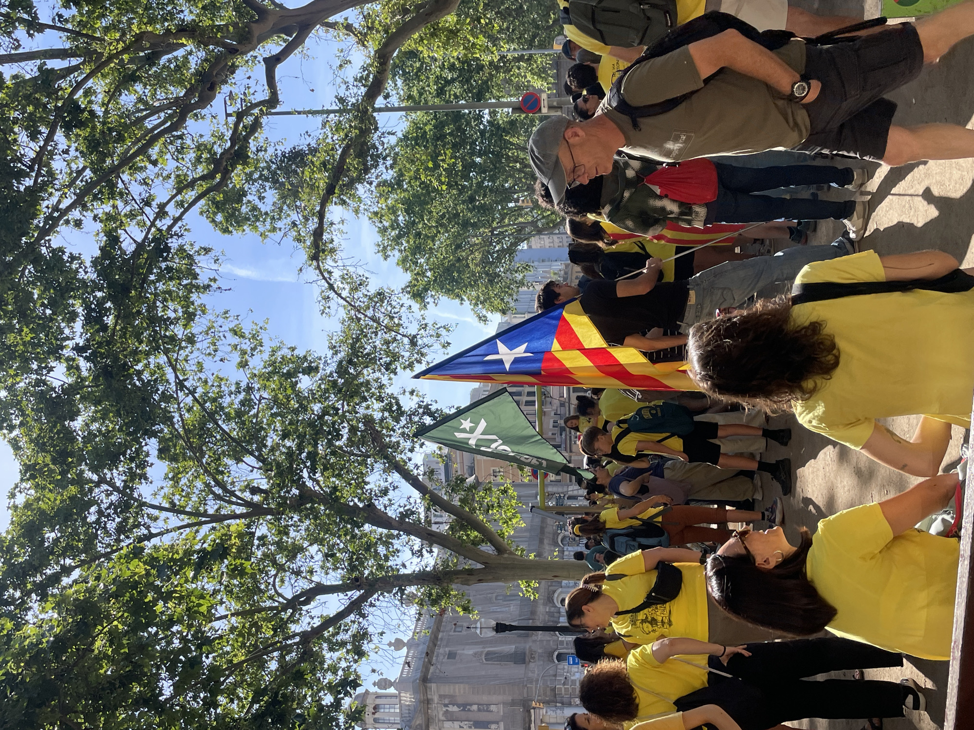 A street-level, medium-shot photograph shows a large gathering of people during what appears to be a political demonstration in Barcelona, Spain.
The foreground features a crowd of people mostly wearing yellow t-shirts, many of whom are holding flags. One prominent flag is the Estelada, the separatist flag of Catalonia, featuring red and yellow stripes with a blue triangle and a white star. A green flag with a white star is also visible. The people appear to be walking or standing in a somewhat organized manner.
An older man with a grey cap and a green shirt can be seen on the right side of the image. He has a backpack and appears to be observing the crowd.
The background includes urban architecture, with buildings visible between the trees. Street lamps are also visible. Overhead, large, leafy trees create a canopy, partially obscuring the sky, which is blue with some light clouds.
The overall scene suggests a political rally or march taking place in a public space in Barcelona.