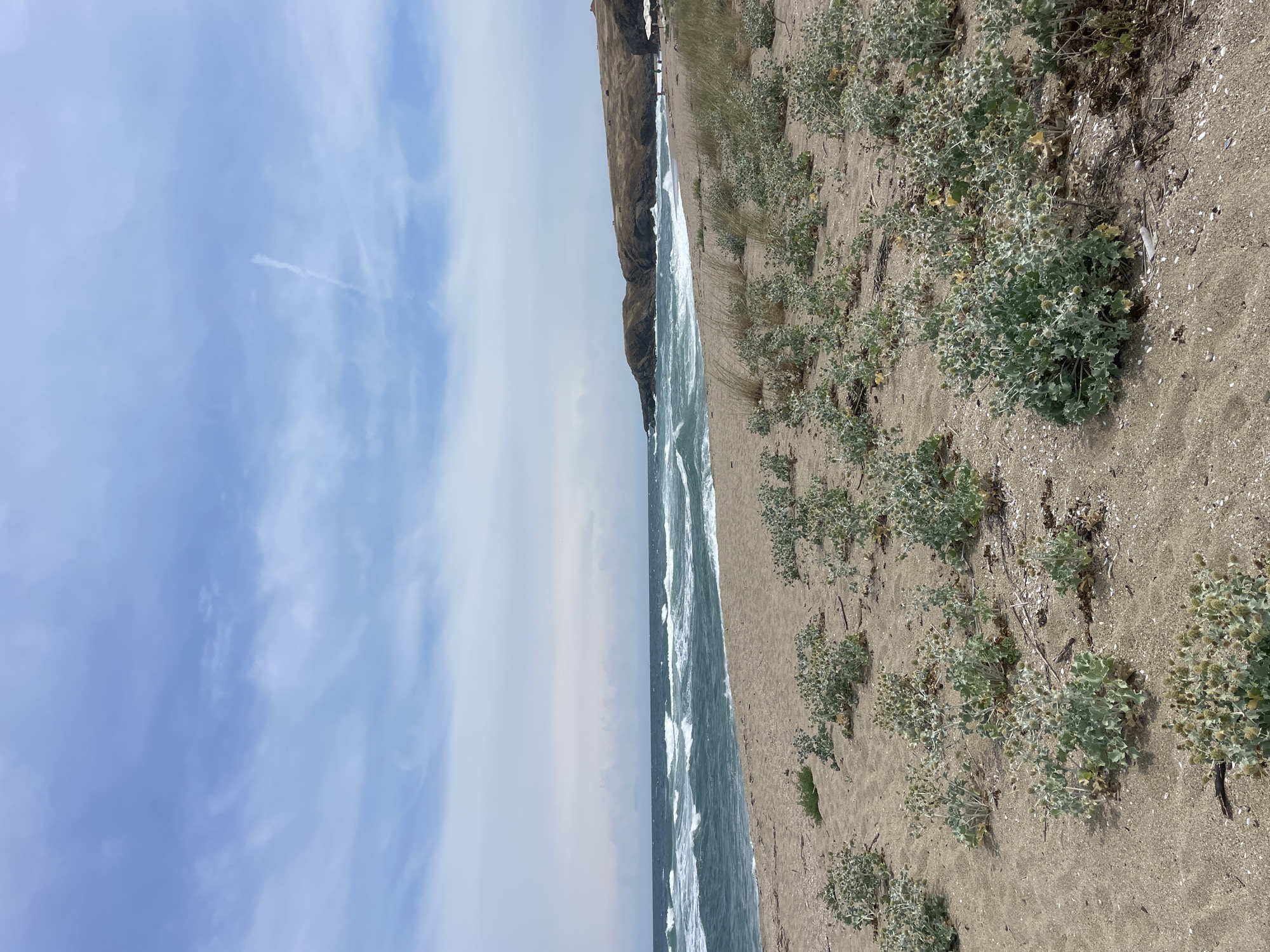 The image depicts a beach scene on a partly cloudy day. The foreground is dominated by sandy ground covered with low-lying, bushy vegetation. The sand is light brown with scattered shells and debris. In the midground, the turquoise sea meets the shore with moderate waves breaking. The coastline extends to the right, with a rocky, undulating cliff formation in the distance. The sky above is a pale blue with scattered white and grey clouds, and a faint contrail from an aircraft is visible in the upper right quadrant. A few people can be observed as small figures walking along the distant beach, and some white umbrellas suggest a populated area further down the coast. The overall impression is of a natural, somewhat wild, coastal environment. The scene is located in Sinemorets, Bulgaria.