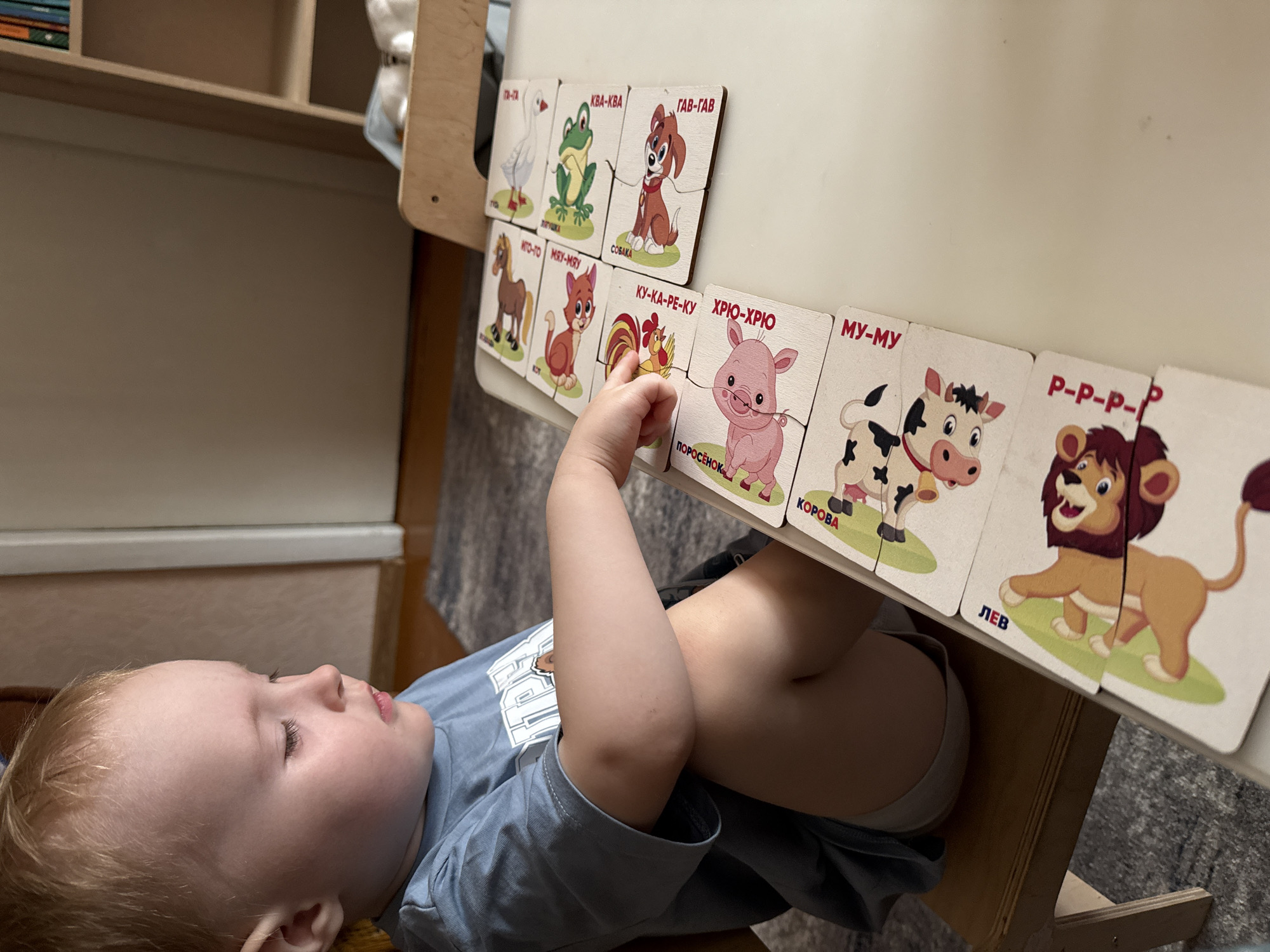 A fair-skinned toddler with blonde hair is playing with animal puzzle cards on a small table. The cards are arranged in a row and feature illustrations of animals such as a goose, frog, dog, horse, cat, rooster, pig, cow, and lion, with their corresponding animal sounds written in Russian. The child is lying on his back, reaching towards the puzzle cards with his right hand. The environment includes a carpeted floor and light-colored furniture in the background. The location is identifiable from the puzzle cards as Chaikovsky, Russia.