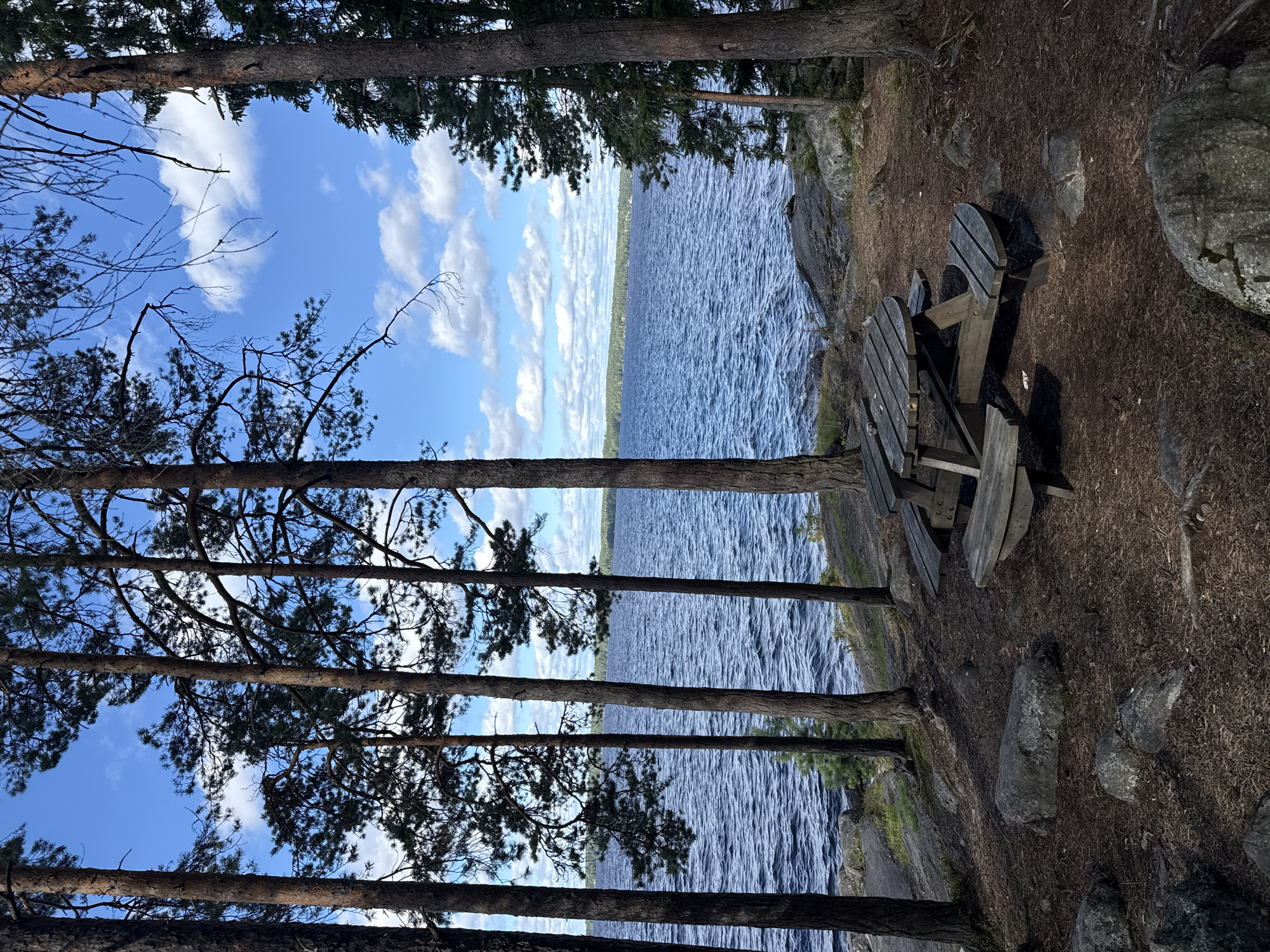 The image shows a wooden picnic table and benches situated on a rocky, pine-needle-covered area next to a large body of water, likely a lake. Tall pine trees with dark bark and sparse foliage are present, framing the view of the water and the distant, tree-lined shore. The sky is blue with scattered white clouds. The water is a deep blue with visible ripples, suggesting a breezy day. The picnic table appears weathered and is positioned to overlook the lake. There are no people or animals visible in the scene. The overall impression is a natural, serene outdoor setting, possibly a rest stop or picnic area within a natural park. The specific location in Tampere, Finland cannot be determined from the image alone.