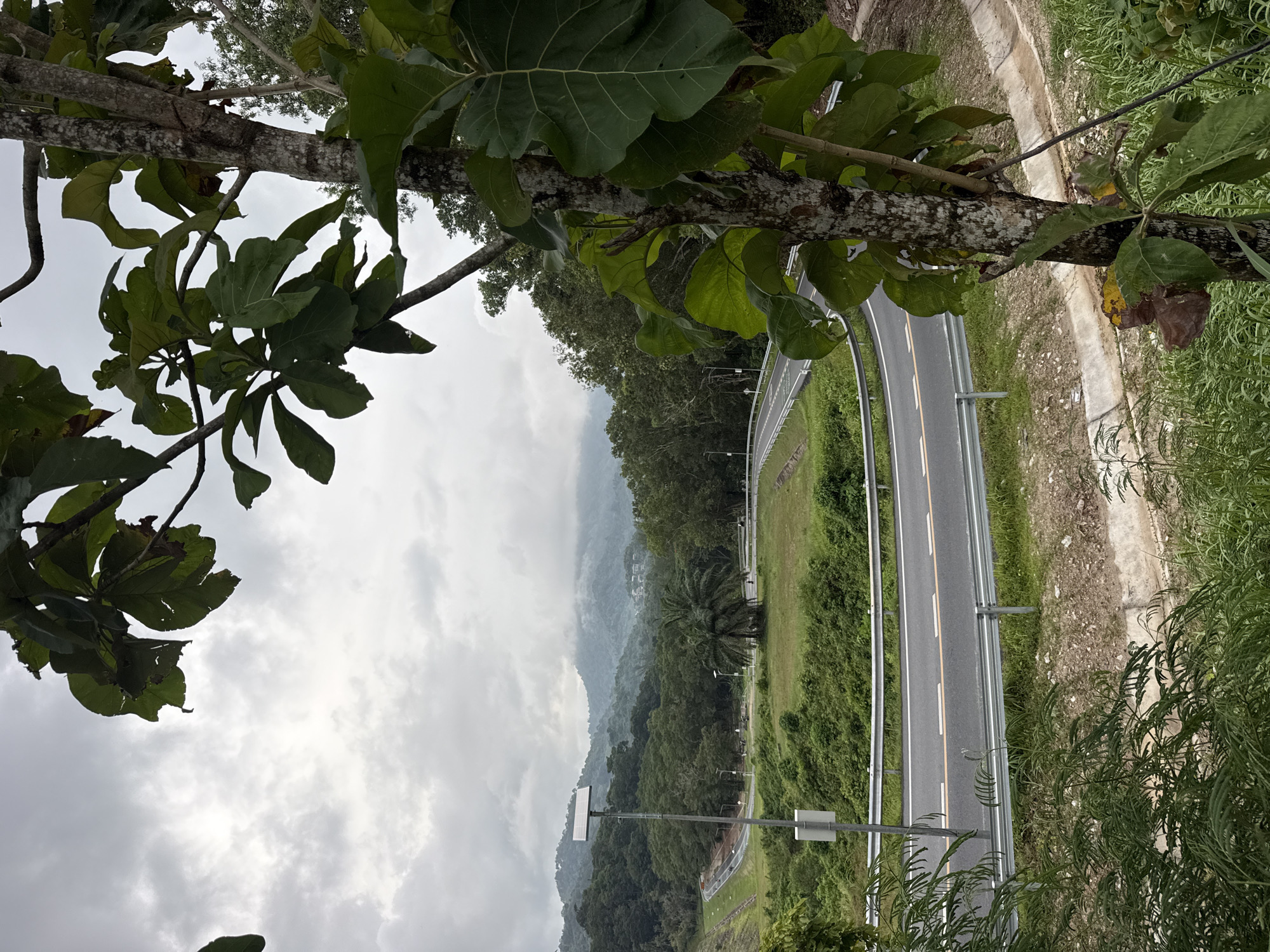 An overcast day with heavy cloud cover is depicted in this vertical, eye-level shot of a winding road in Kathu, Thailand. In the foreground, the trunk and broad leaves of a leafy tree partially obscure the view. The road itself is paved and features a yellow and white line marking. It curves through a lush, green landscape characterized by rolling hills and dense vegetation. A solar-powered street lamp stands on a pole to the left of the road. In the distance, mist hangs over the mountains, adding a layer of depth to the scene. The overall impression is one of a serene, natural environment, possibly a rural or mountainous area within Kathu.