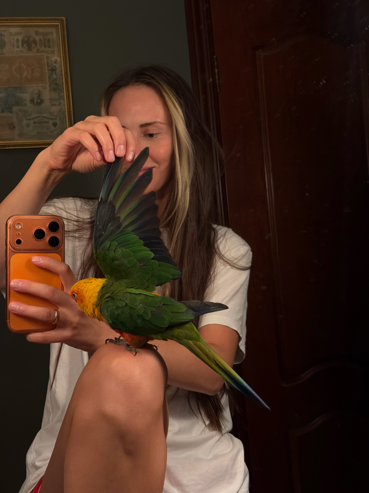 In this close-up, vertical shot, a person is holding a phone and a bird. The person, whose face is partially visible and smiling, has long, dark hair with blonde streaks. They are wearing a white t-shirt and a ring on their left hand. The phone, encased in an orange case, is held in their left hand. A green and yellow parrot with its wings spread is perched on the person's right knee. The parrot's feet are visible on the knee. The background is dimly lit, showing a dark wooden door on the right and a framed picture on the wall to the left. The scene appears to be indoors, with no specific urban landmarks or elements suggesting the city of Khimki, Russia.