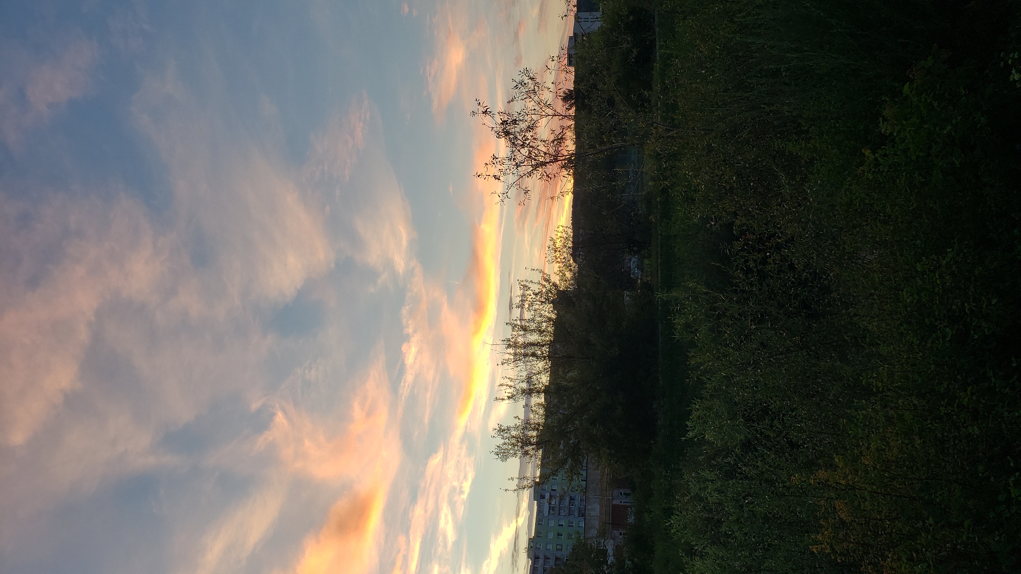The image depicts a sunset with vibrant clouds over a cityscape. In the foreground, there is dense green foliage, with the upper parts of the foliage appearing darker due to the low light. Behind the foliage, there are trees, some bare-branched, and behind those, a multi-story building with visible windows. The sky is a gradient of blue and pink hues, with wispy clouds illuminated by the setting sun. The scene is static and appears to be taken from a slightly elevated position, possibly a hill or a higher floor of a building, looking towards the east or west. The specific location in Prešov, Slovakia, is likely a residential area with a mix of apartment buildings and green spaces.