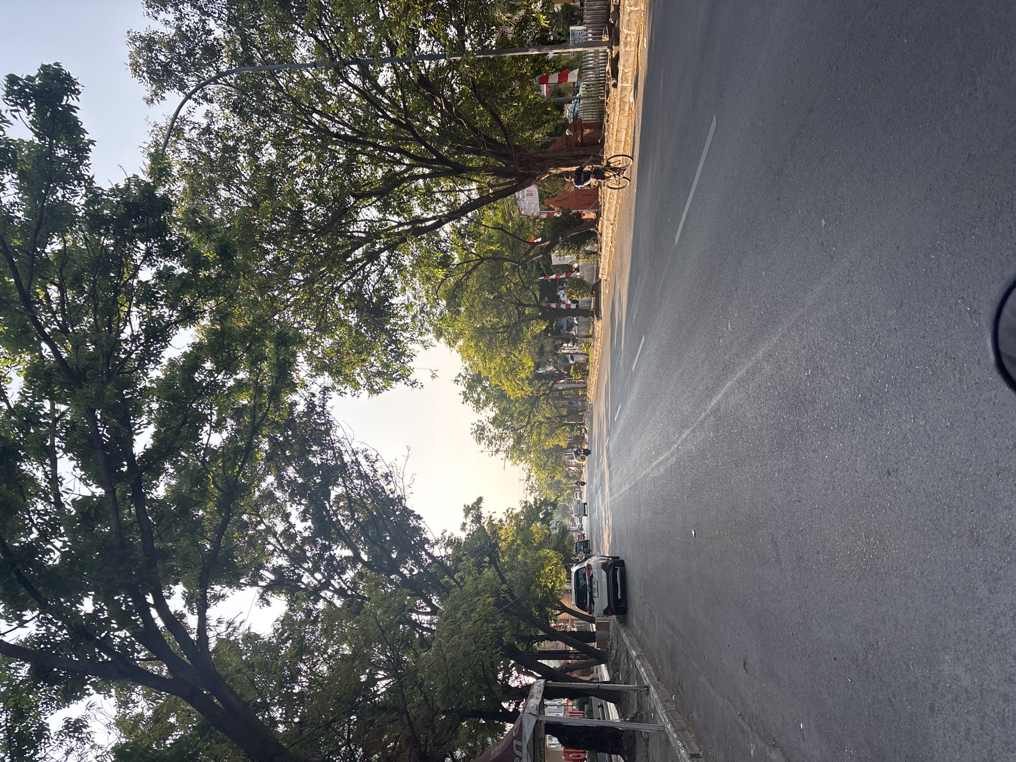 The image depicts a street scene in Cirebon, Indonesia, likely during the late afternoon or early evening, as indicated by the warm, soft lighting and long shadows. The street is paved and appears to be a main thoroughfare, with traffic moving in the distance. On the left side of the road, there is a sidewalk lined with trees, and a white SUV is parked along the curb. Further down the street, several other vehicles are visible, including cars and motorcycles. A person is seen riding a bicycle on the right side of the road. The street is flanked by trees on both sides, creating a canopy effect overhead. Some buildings and what appear to be decorative flags or banners are visible in the background on the right side of the street. The overall atmosphere is one of a typical urban environment, with a sense of calm activity.