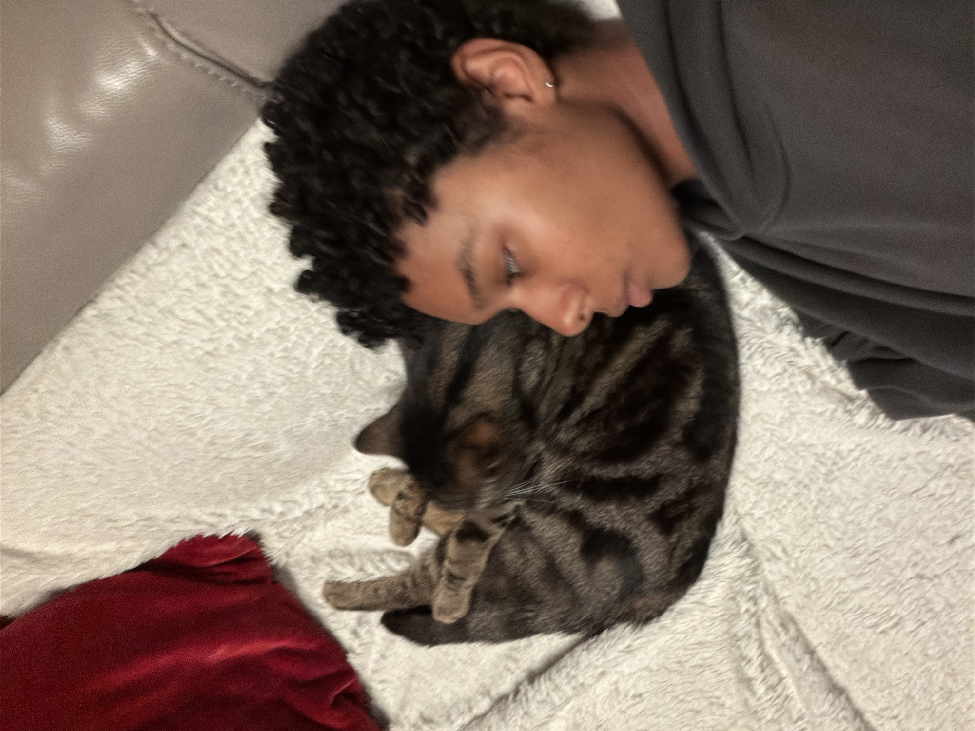 A person lies on a white, plush blanket with a tabby cat curled up near their head. The person has dark, curly hair and is wearing a grey shirt. A red pillow is visible in the lower left corner of the frame. No indication of Champs-sur-Marne, France is discernible.