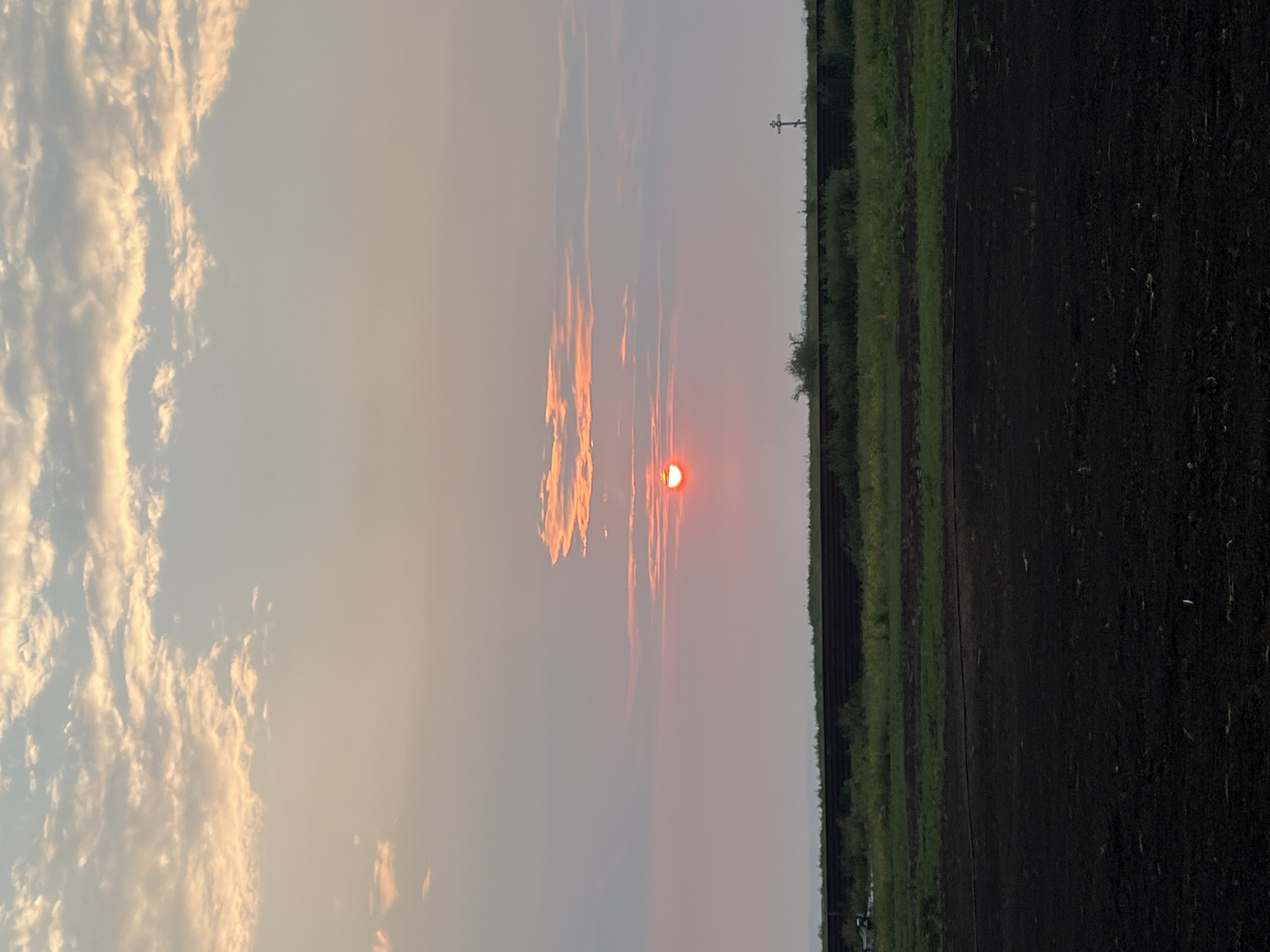 A rural landscape at sunset is depicted in this image, likely taken in Novopichugovo, Russia. The sky is a gradient of pale pink and orange hues, with wispy clouds catching the last rays of the setting sun. The sun itself is a vibrant red orb, partially obscured by a horizontal band of clouds. In the middle ground, a dark, long, horizontal structure, possibly a fence or a wall, stretches across the frame. Beyond this structure, a strip of green grass and vegetation is visible, with a few scattered bushes. To the far right, a tall, thin cross-like object stands on a pole. The foreground is a dark, rough texture, resembling freshly plowed soil or a field. The overall impression is one of serene, natural beauty at dusk.