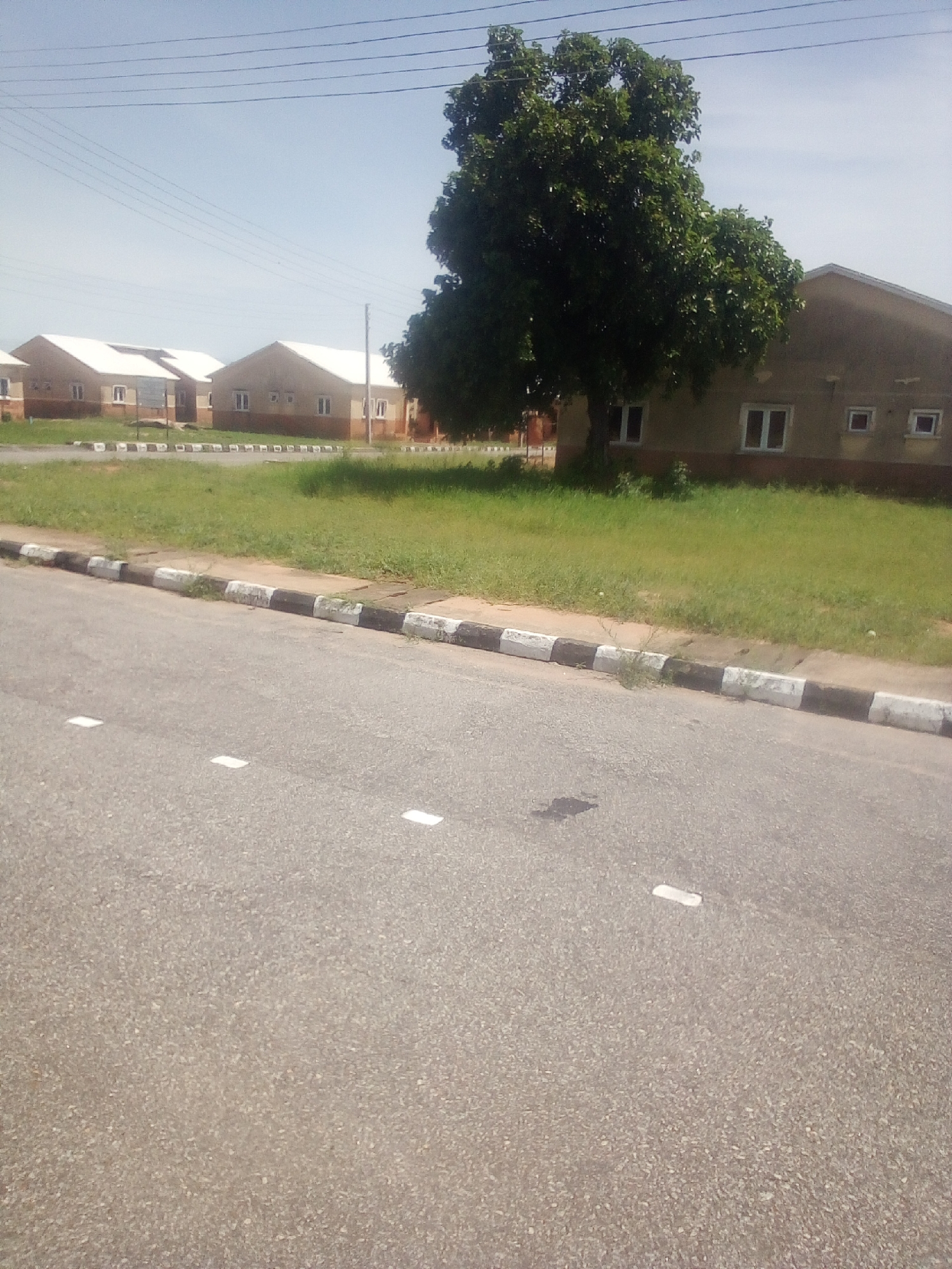 The image depicts a street scene in Jauro Yinu, Nigeria, under a clear sky with faint power lines visible. A paved road with white reflective markers runs diagonally across the foreground, bordered by a curb painted with alternating black and white stripes. Beyond the curb, a strip of neatly mown green grass separates the road from a row of identical, single-story buildings with light brown walls and white-roofed, sloped designs. These buildings feature multiple rectangular windows. A large, mature tree with dense green foliage stands prominently between the road and the buildings. The overall impression is of an organized residential or institutional area. There are no people or vehicles visible in the frame.