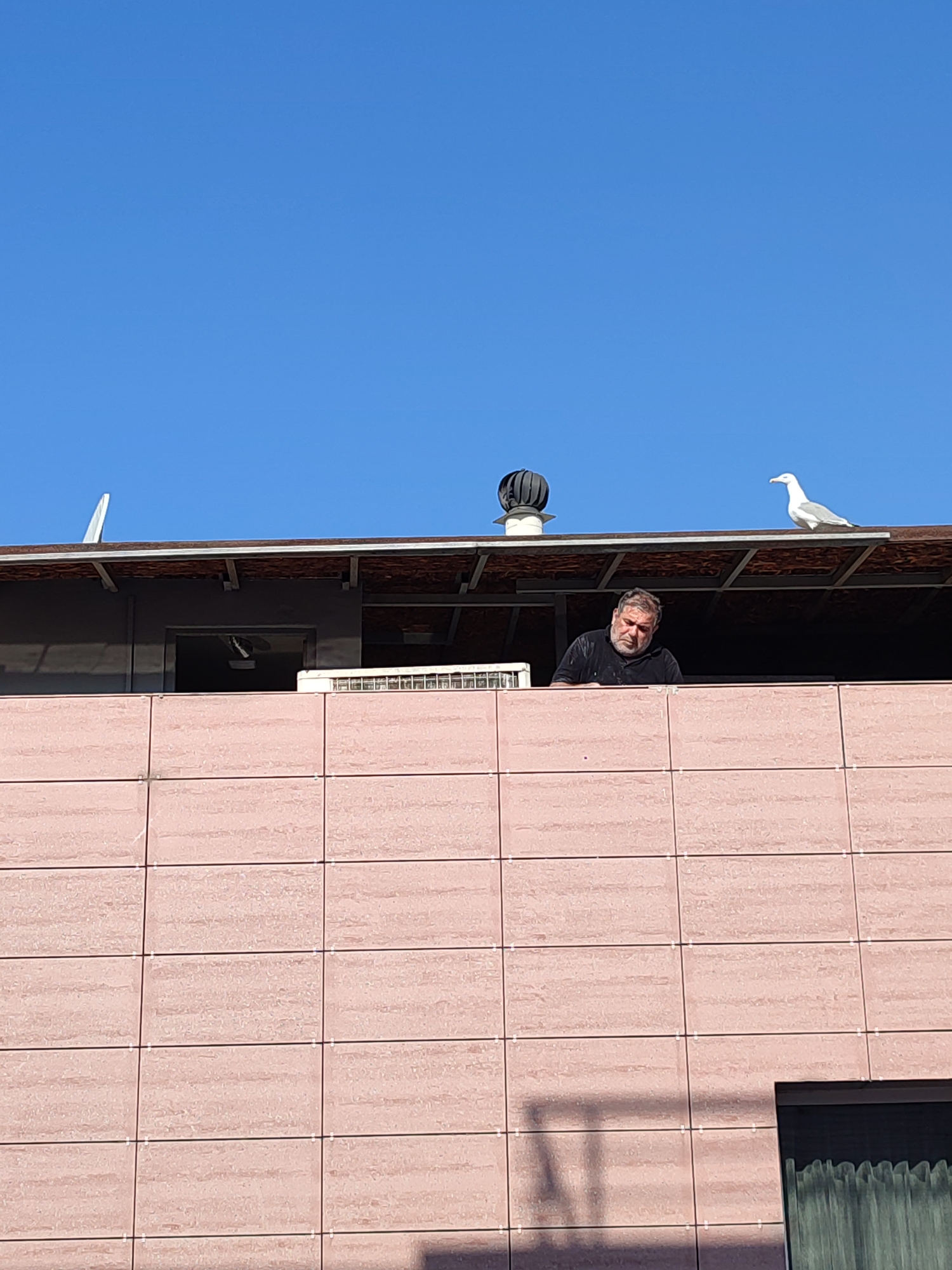 A medium shot shows a man with a beard and a black shirt looking down from a rooftop in Kadıköy, Turkey. To his right, a seagull stands on the roof. The man is positioned in front of a dark opening, with an air conditioning unit visible on the left side of the opening. The building facade below the rooftop is covered in light pink tiles. The sky is clear and blue.