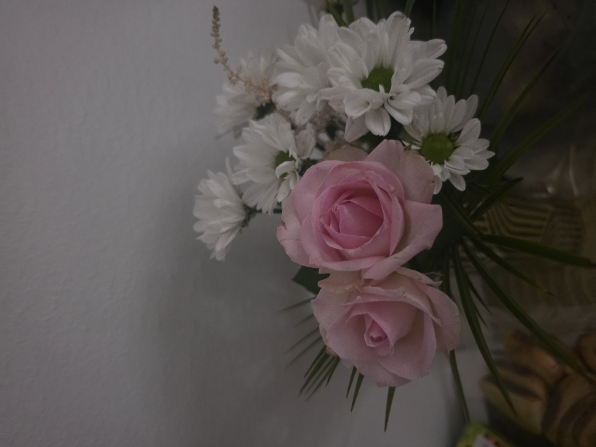 The image displays a close-up view of a bouquet of flowers, primarily featuring two pink roses and several white daisies. The roses are positioned in the foreground, slightly to the left, with their petals unfurled. The white daisies are arranged behind and around the roses, their centers appearing green. Some dark green foliage is also visible, intertwined with the flowers. The background is a plain, light-colored wall, which is out of focus. The lighting is soft, casting a gentle glow on the flowers. The overall impression is a still-life composition of a floral arrangement. There is no information to indicate the location in Vantaa, Finland.