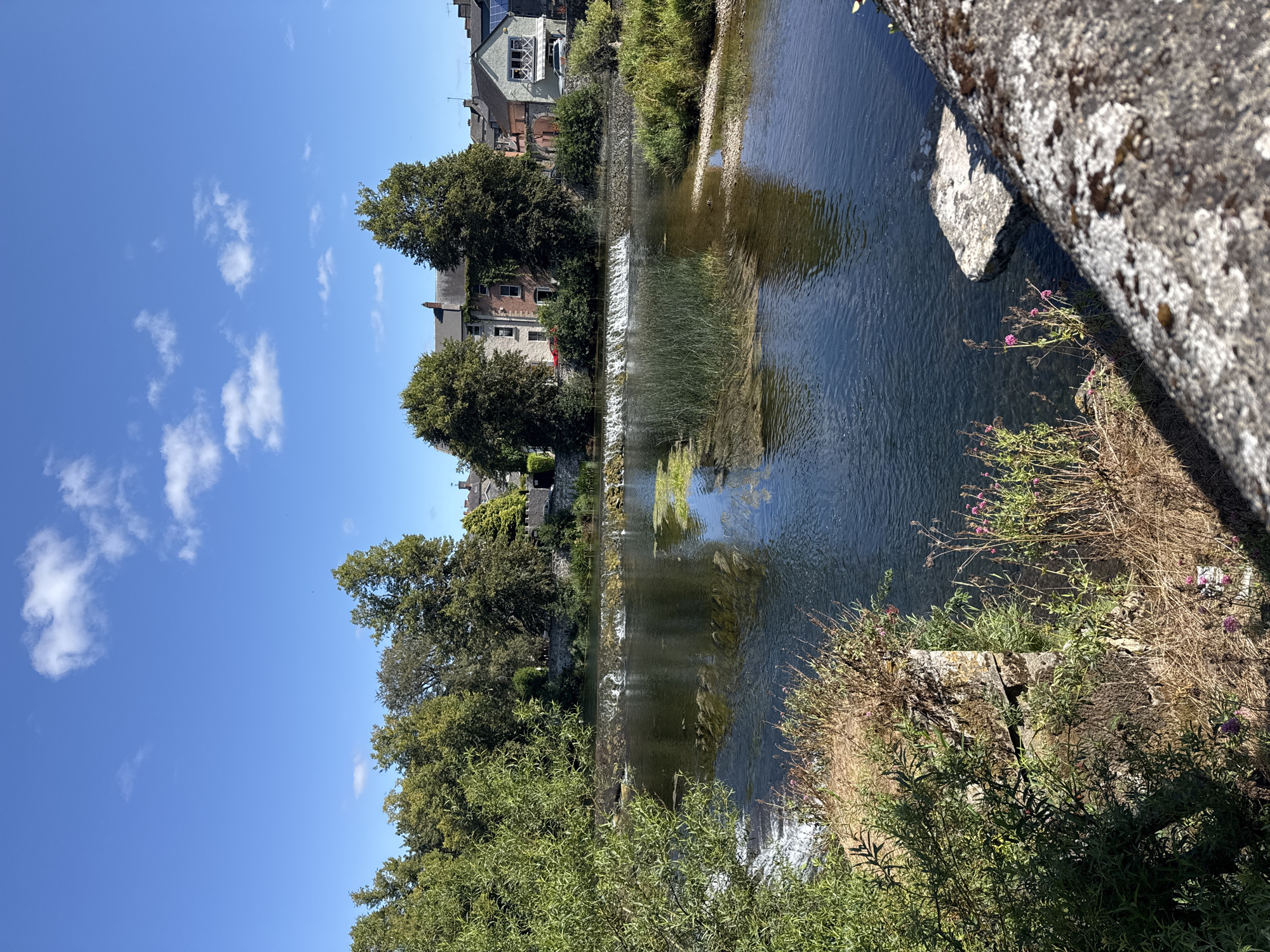 The image depicts a serene river scene in Cahir, Ireland, on a clear, sunny day. A wide river flows from left to right across the frame, with a small waterfall or weir constructed across its width in the mid-ground, causing whitewater to cascade over the stones. Lush green trees line the far bank, interspersed with the rooftops and facades of buildings, suggesting the presence of a town or village. The architecture appears to be a mix of traditional stone and brick structures, with some displaying pastel-colored exteriors.
In the foreground, the riverbanks are characterized by vegetation. To the left, dense green foliage spills into the frame, with some of it appearing to overhang the water. Further right, the bank is covered in dry, golden grasses and sparse pink wildflowers. A large, weathered stone structure, possibly part of a bridge or embankment, is visible in the extreme foreground, its surface covered in moss and lichen.
The water itself is a deep, dark blue, reflecting the bright sky above. Patches of aquatic plants, appearing as long, green reeds, are visible growing in the shallower areas of the river. The sky is a vibrant blue, with a few scattered white clouds drifting across it. The overall impression is one of a tranquil, natural setting within a populated area.